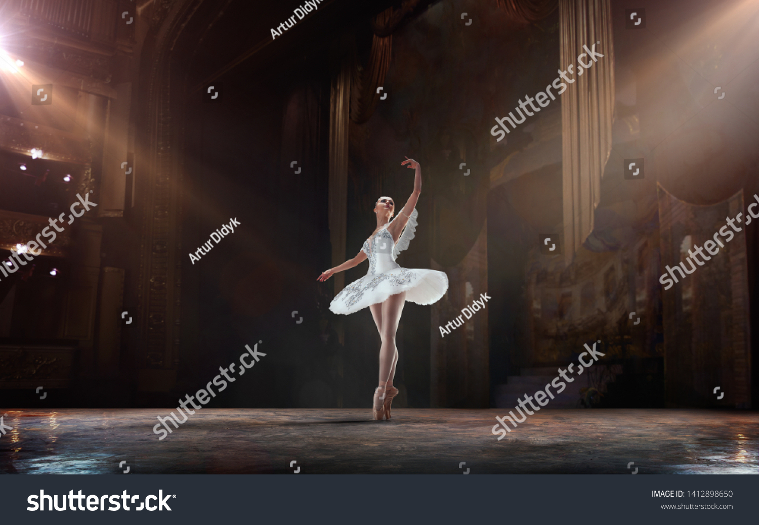 4 pics 1 word 5 letters swan ballet dancer