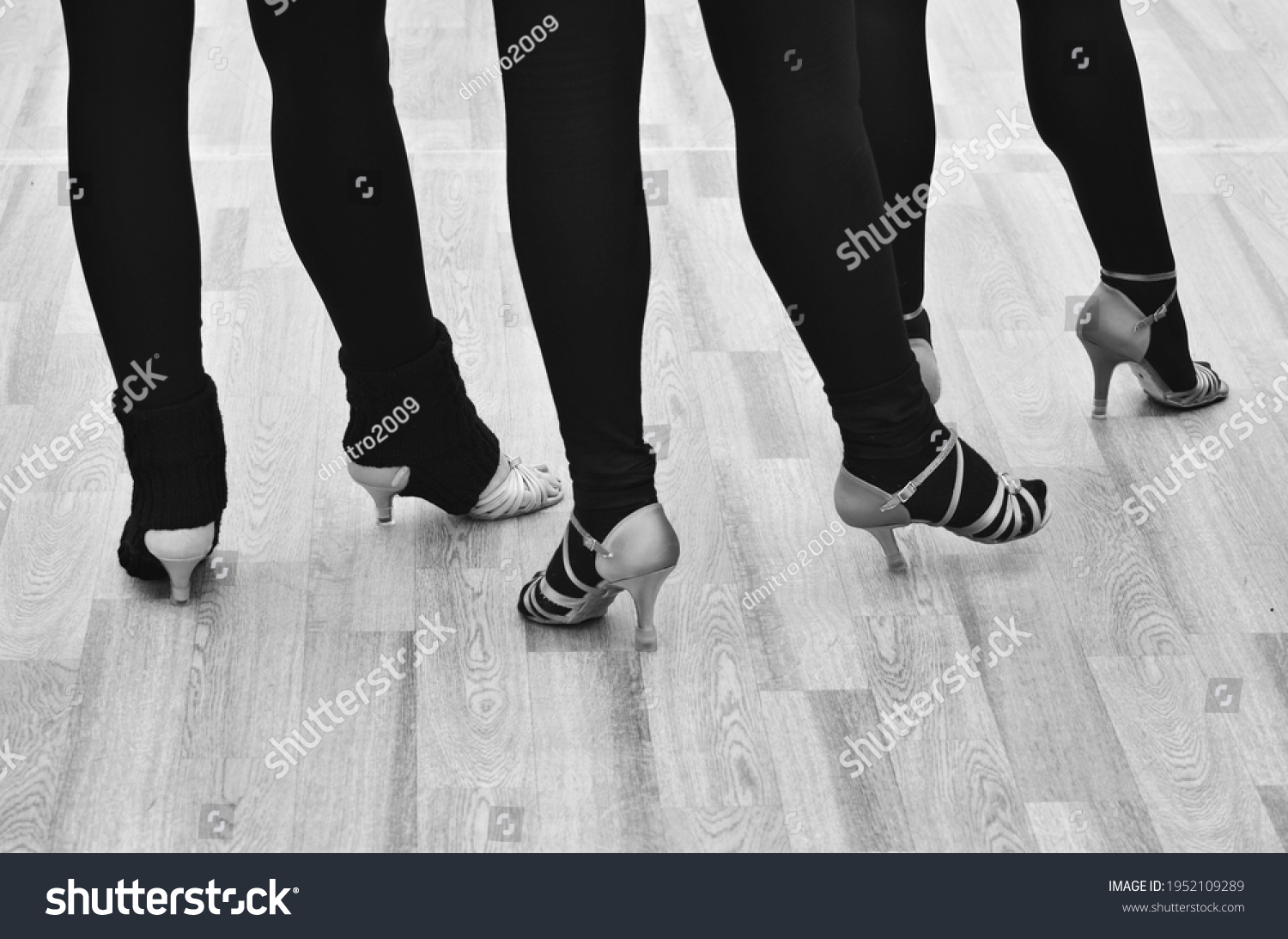 Ballroom Dancers Feet During Training Stock Photo 1952109289 | Shutterstock