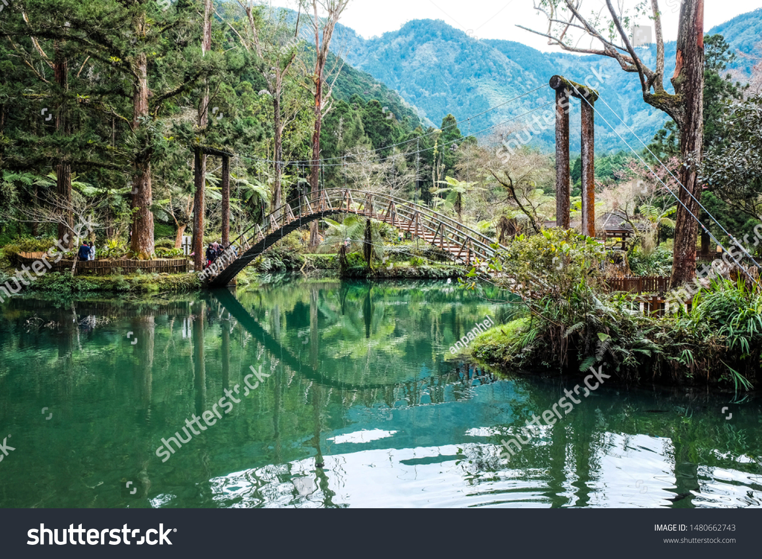 blod høflighed lanthan Xitou nature education area Images, Stock Photos & Vectors | Shutterstock