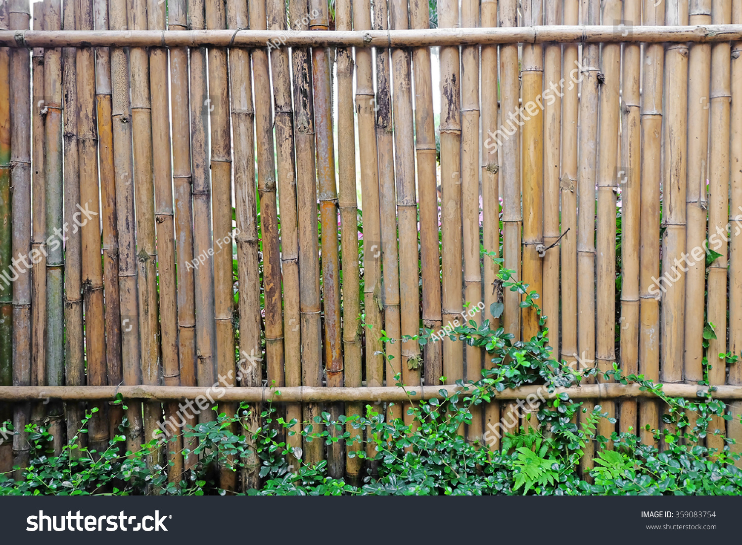 Bamboo Fences Stock Photo 359083754 : Shutterstock