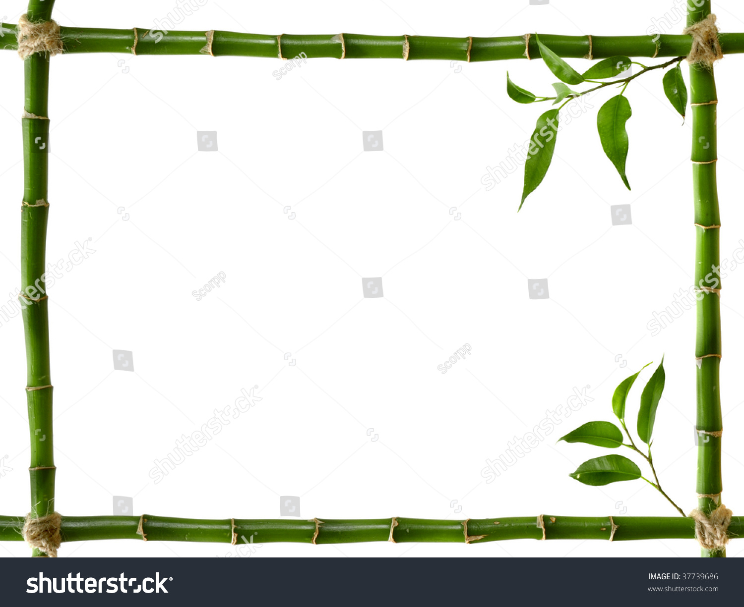 Bamboo Frame Stock Photo 37739686 : Shutterstock