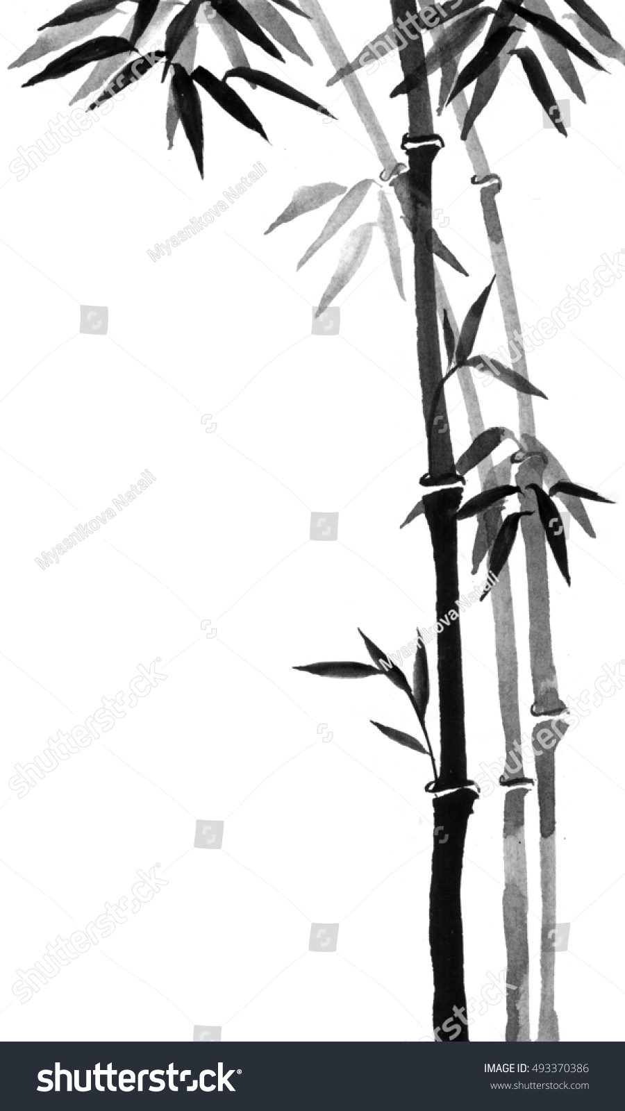 Bamboo Trees Handdrawn Ink Traditional Japanese Stock Illustration ...