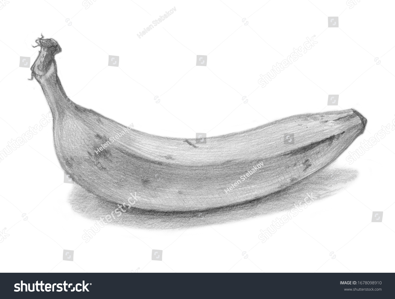 Simple Banana Sketch Drawing for Beginner