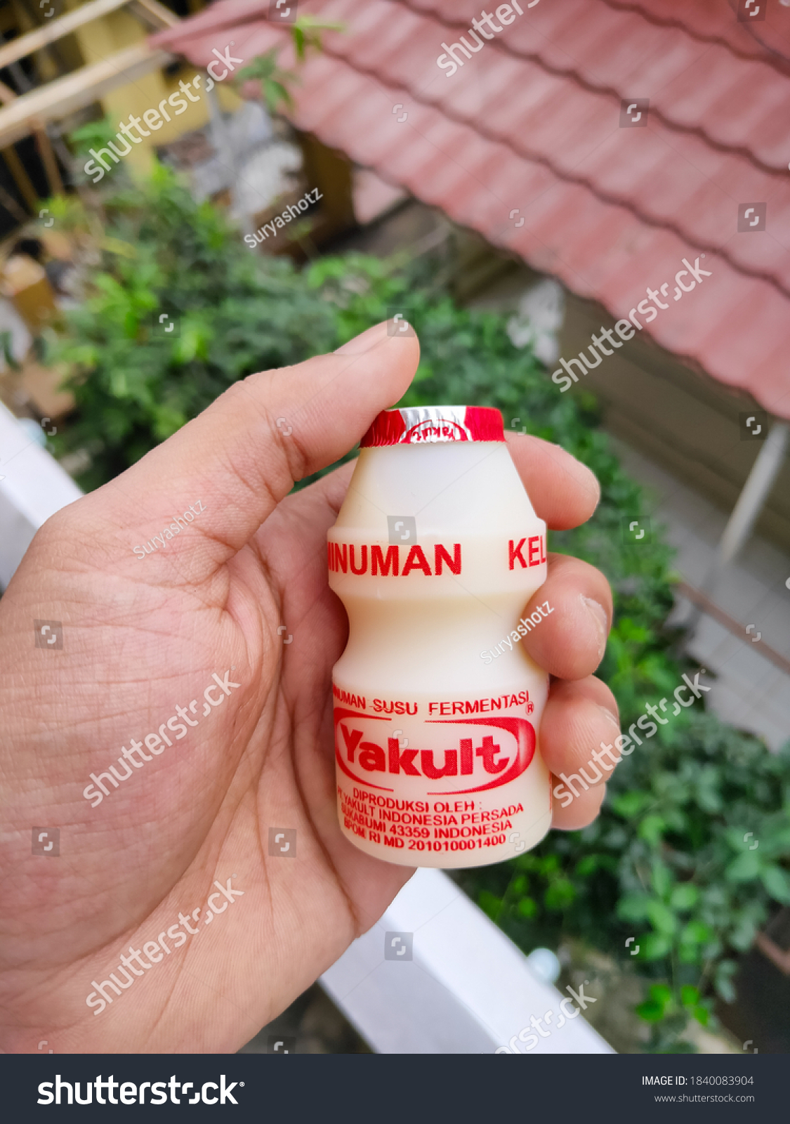 What is yakult made of