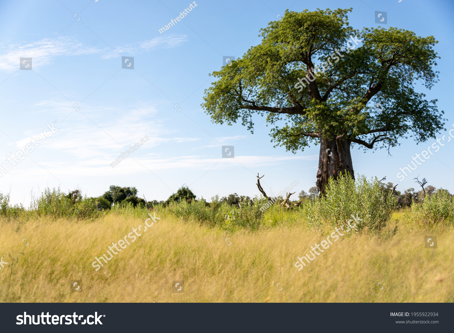 314 Landschaft fotografie Images, Stock Photos & Vectors | Shutterstock