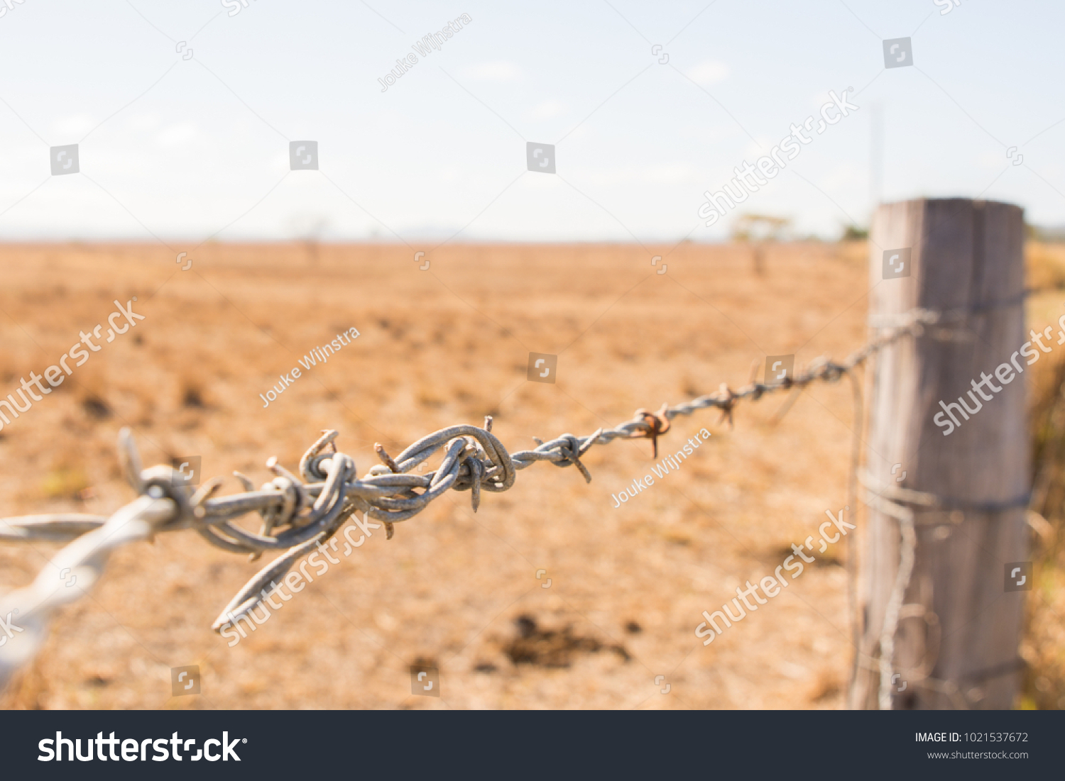 barbed wire australia