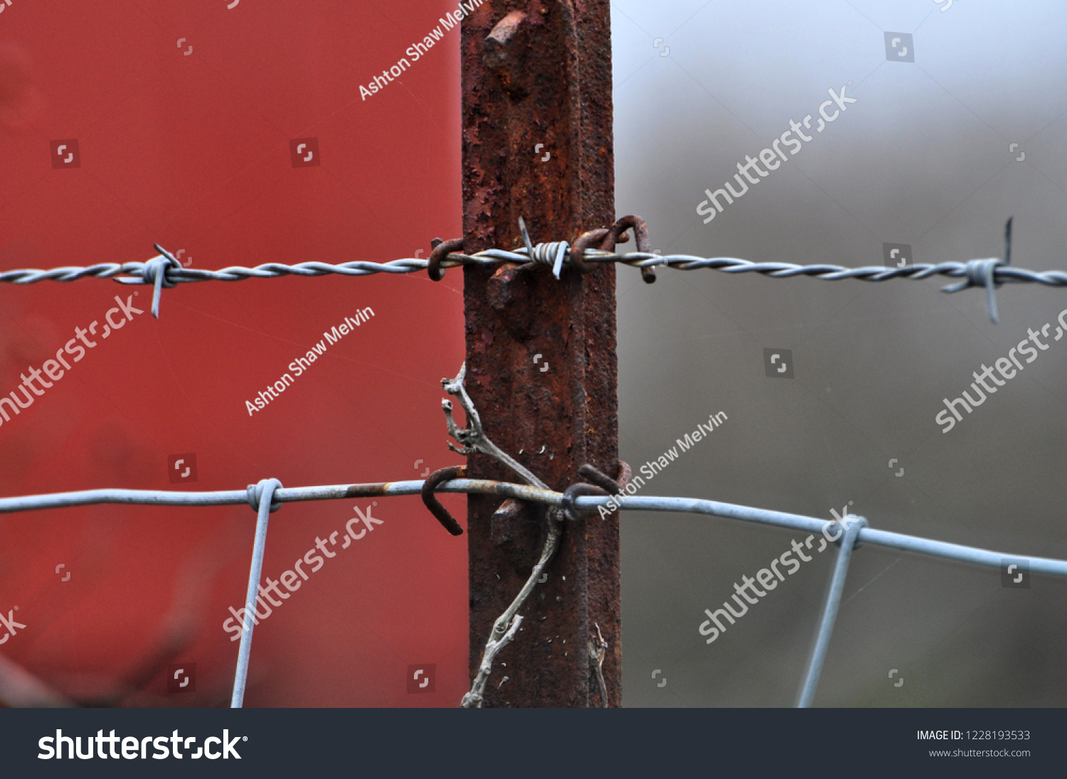 barbed wire id