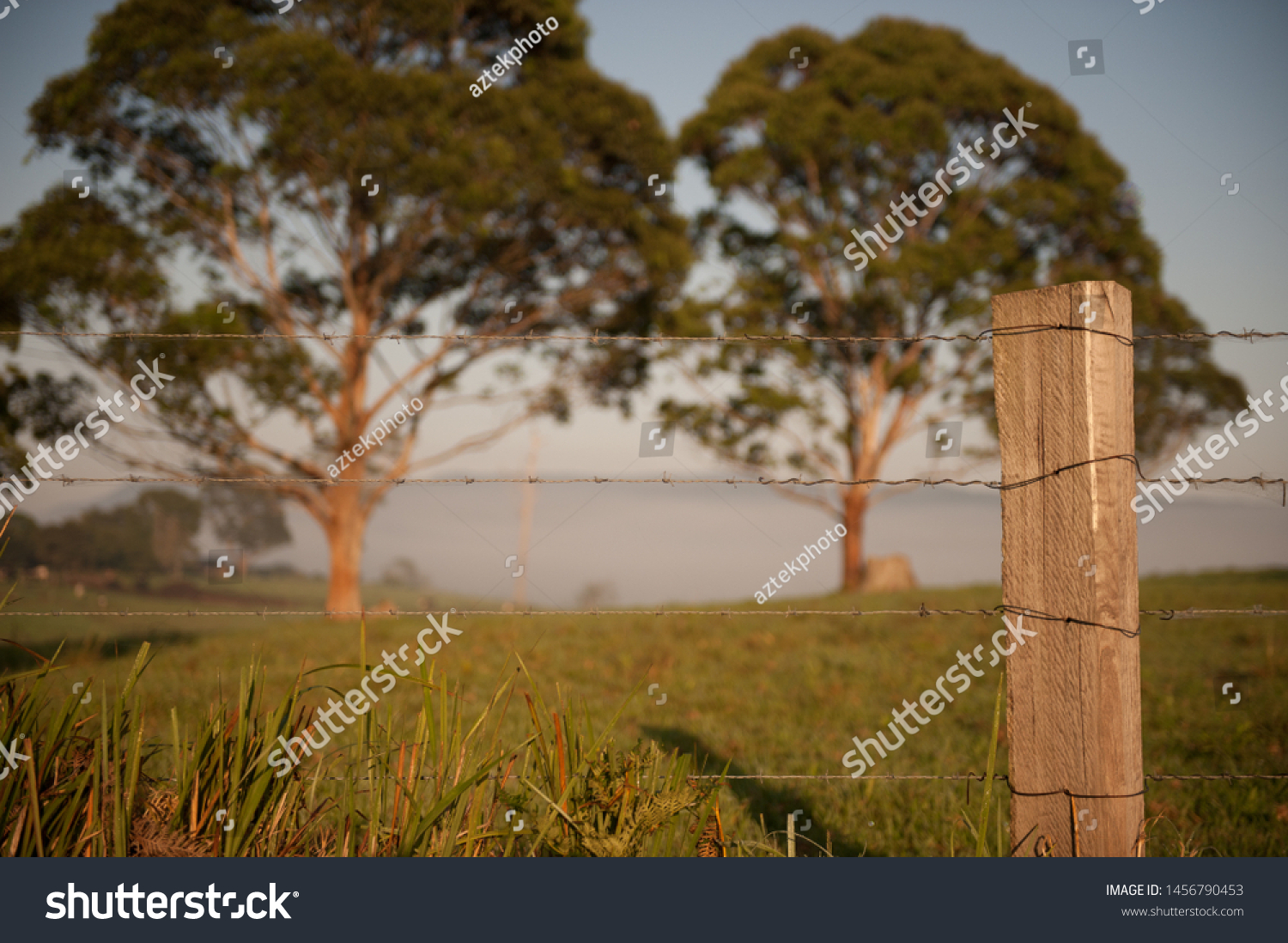 barbed wire australia