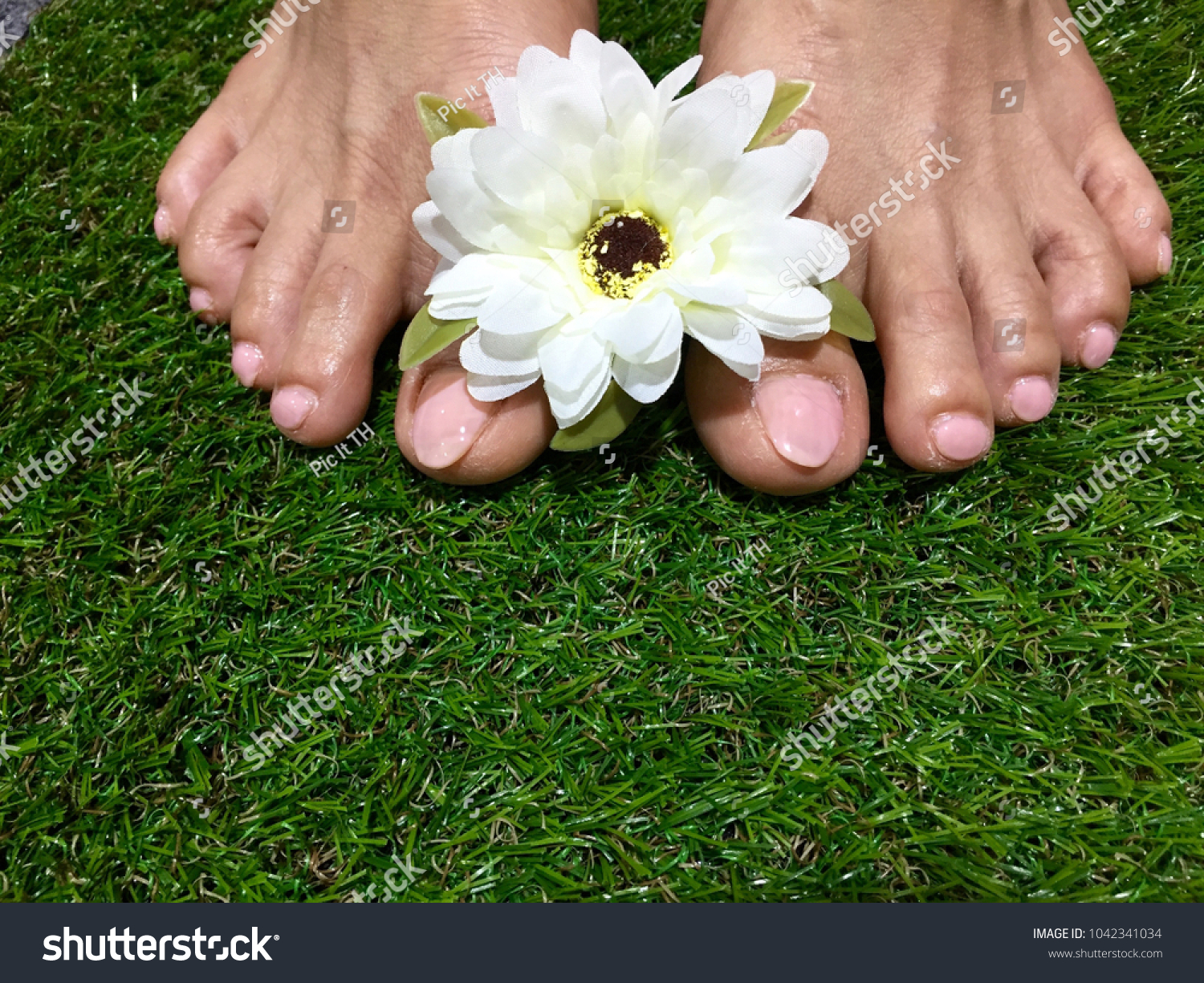 Nude on grass Nude Photos 100 Nude on grass Nude Photos 22