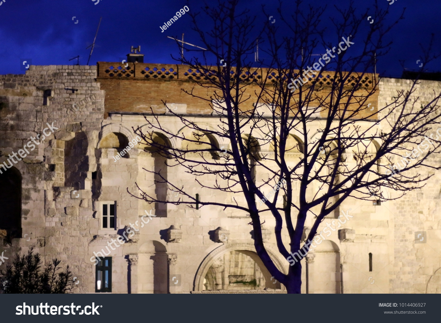 Bare Tree Front Golden Gate Porta Stock Photo Edit Now