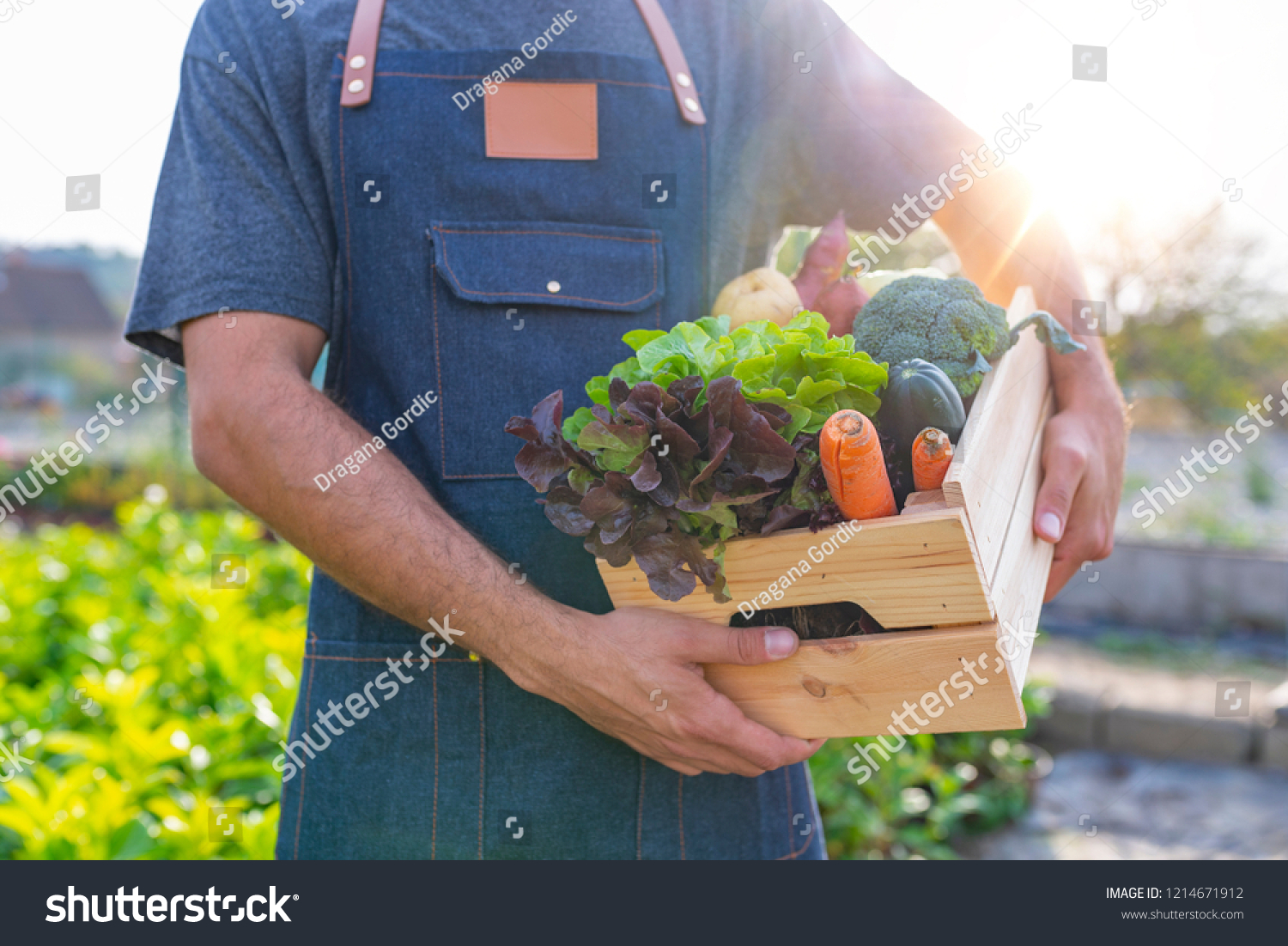 89,059 Sustainable Food Images, Stock Photos & Vectors | Shutterstock