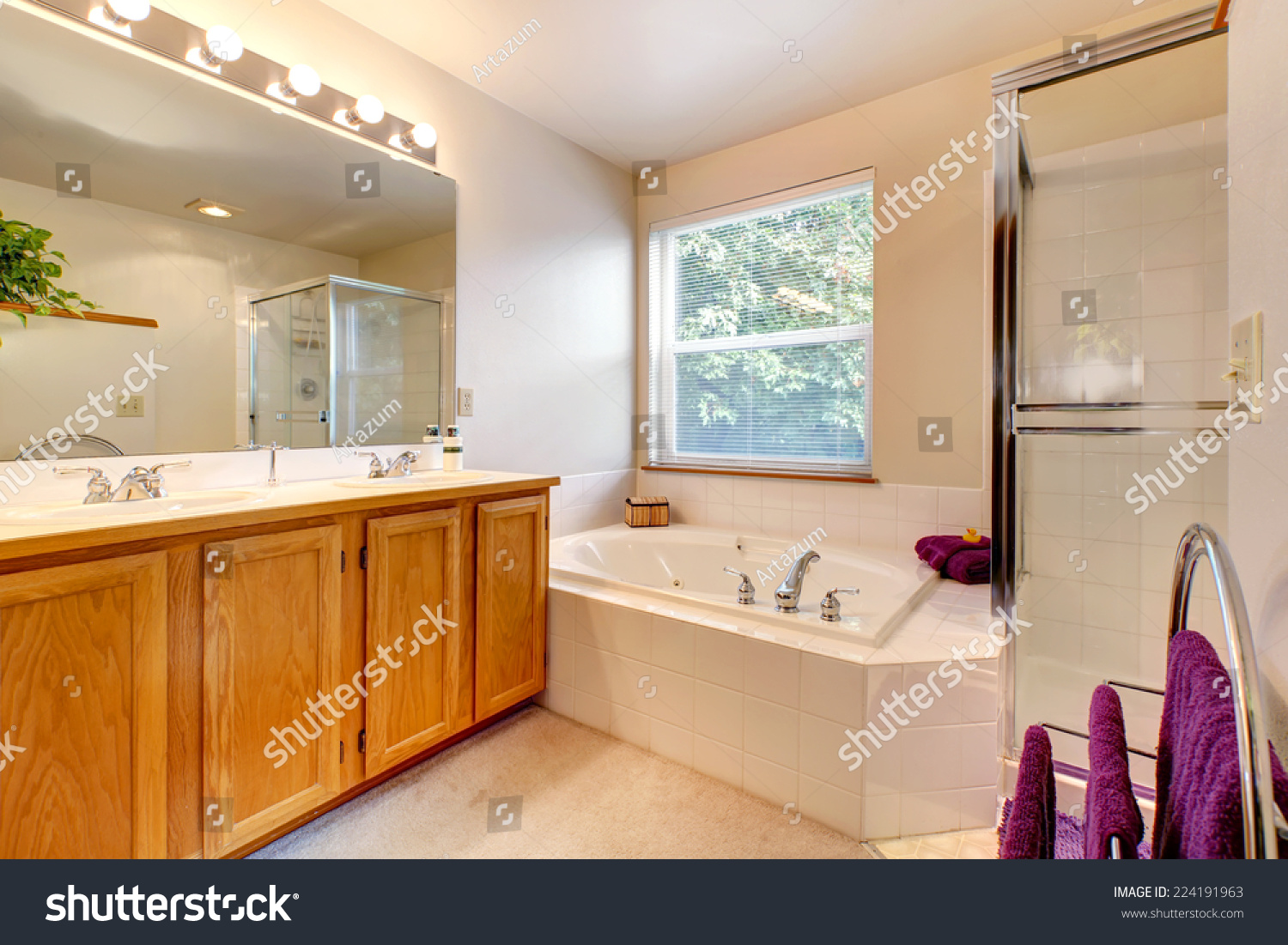 Bathroom Vanity Cabinet Mirror Bath Tub Stock Photo Edit Now