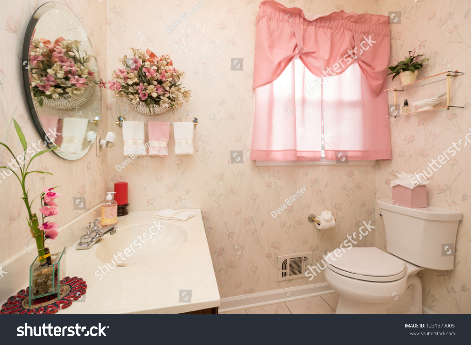 Bathroom Mirror Sink Vanity Toilet Pink Stock Photo Edit Now 1231379005