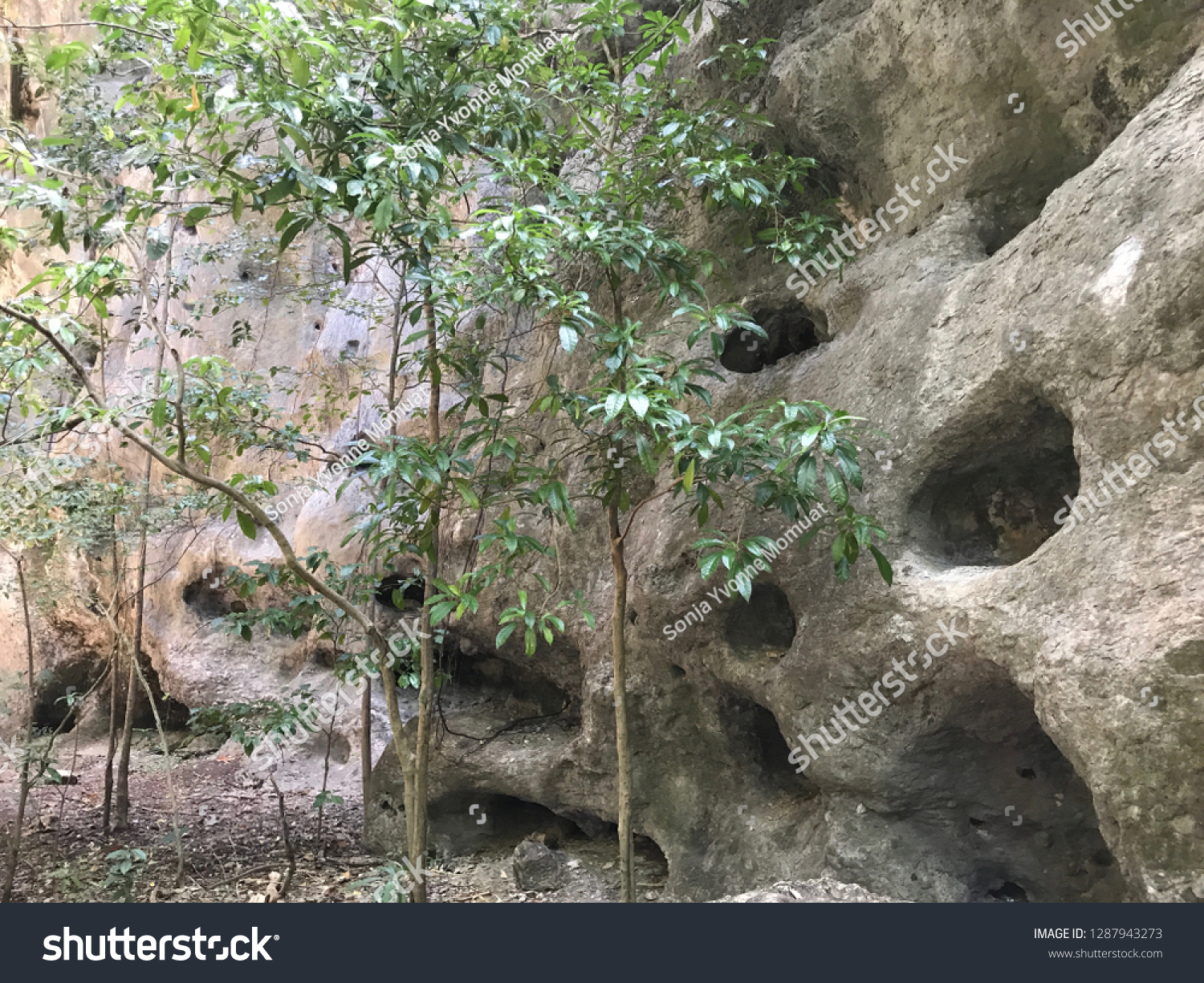 Batu Cermin Cave Labuan Bajo Indonesia Stock Photo Edit Now 1287943273