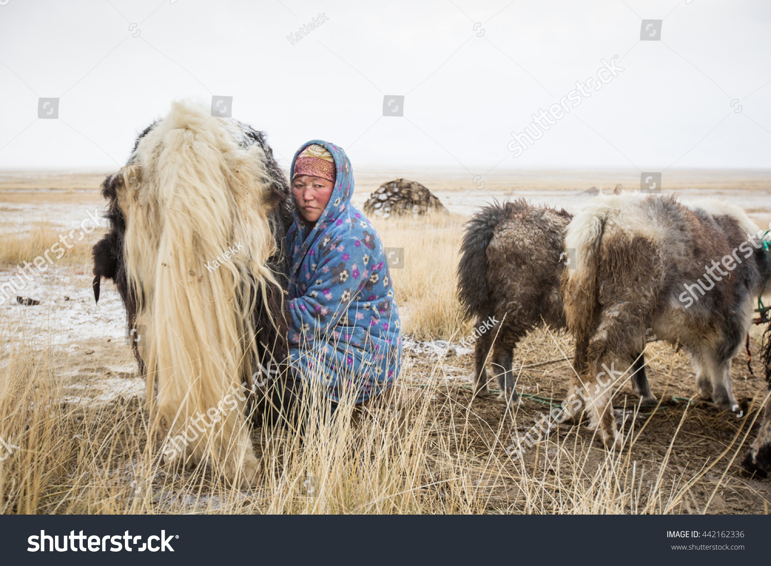 stock-photo-bayan-ulgii-mongolia-circa-o