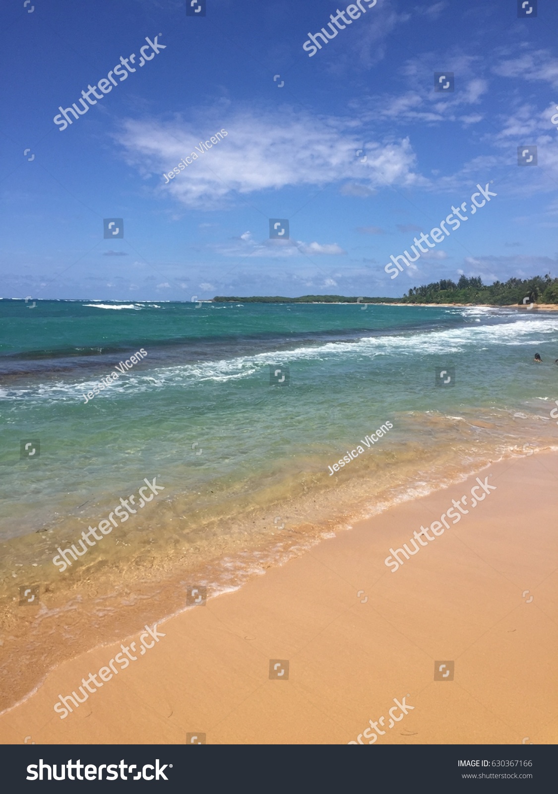 Talega Images, Stock Photos & Vectors | Shutterstock