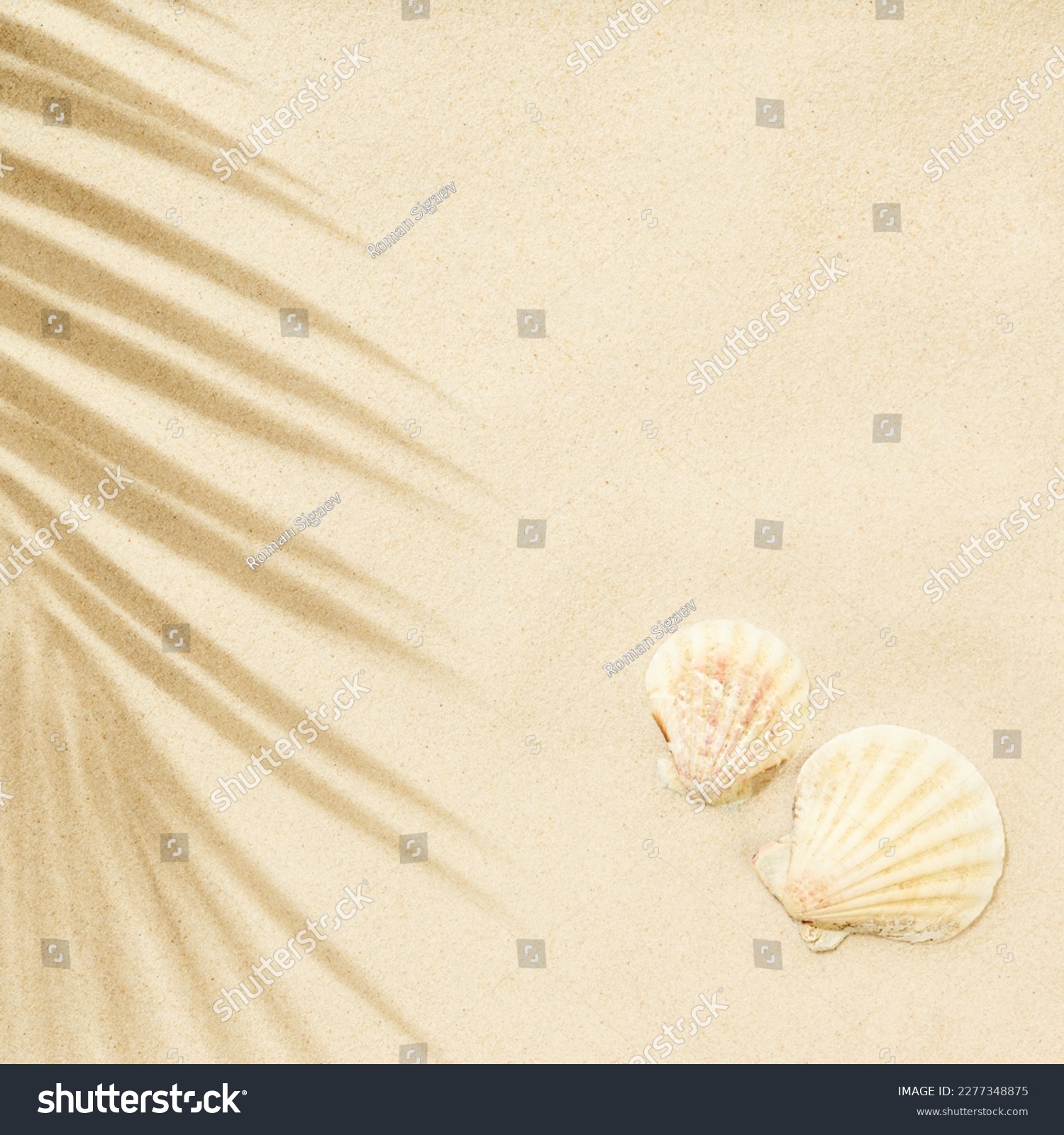  Lemonade Classic  Template Design Featuring Beach White Sand with Shadow of Palm Leaf and Seashells