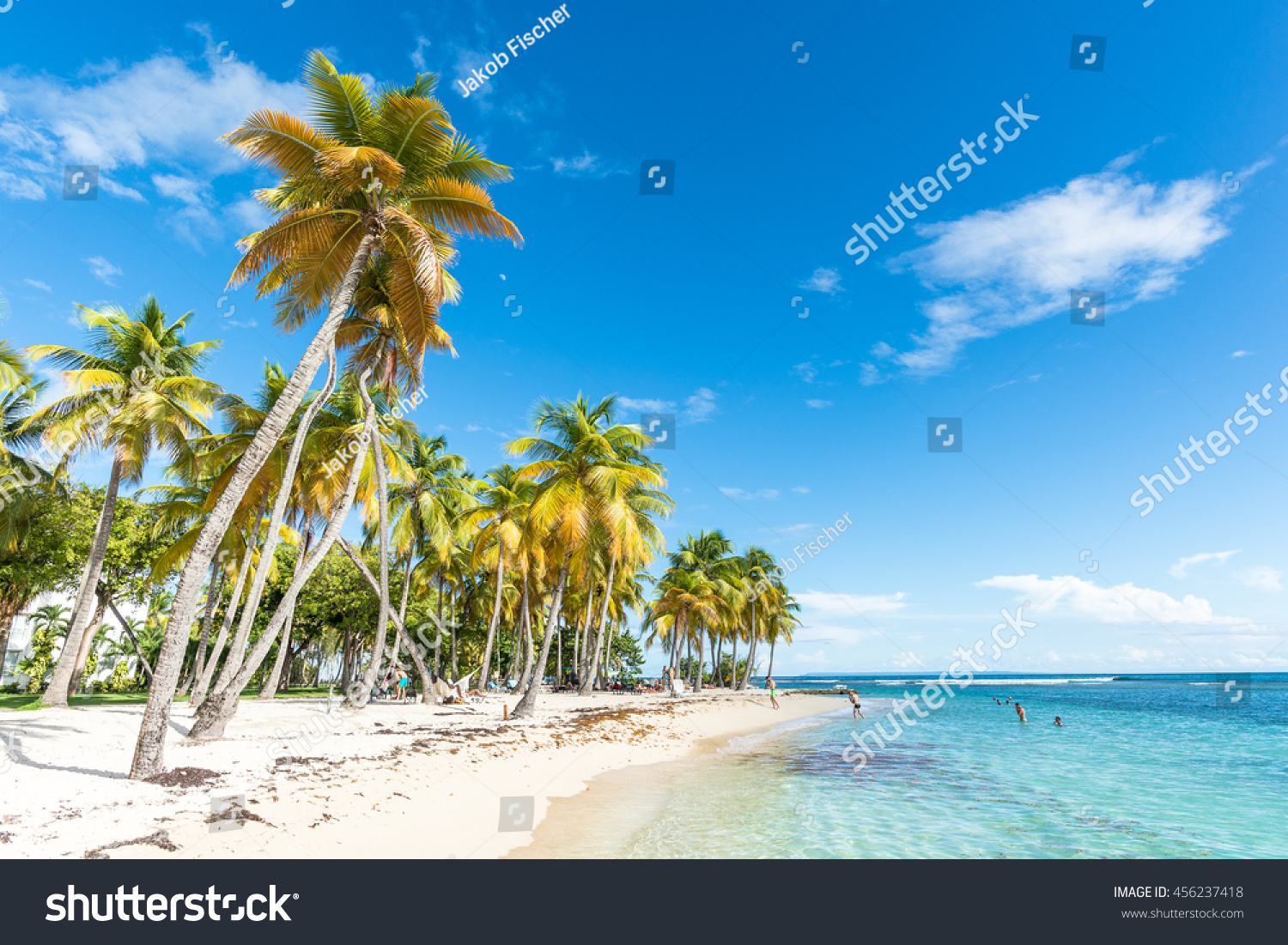 Beachfront Plage De La Caravelle Guadeloupe Stock Photo Edit Now