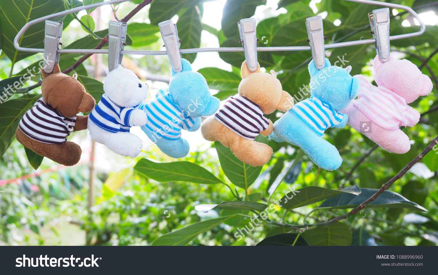 Bear Dolls Hang On Coat Hanger Stock Photo Edit Now