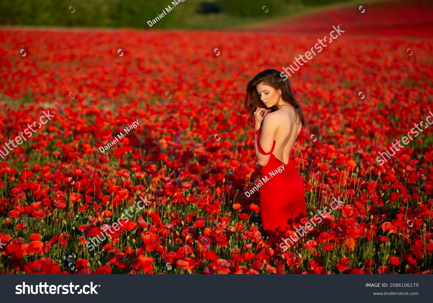 Beautiful Sexy Girl Red Dress Naked Foto Stok 2086106179 Shutterstock