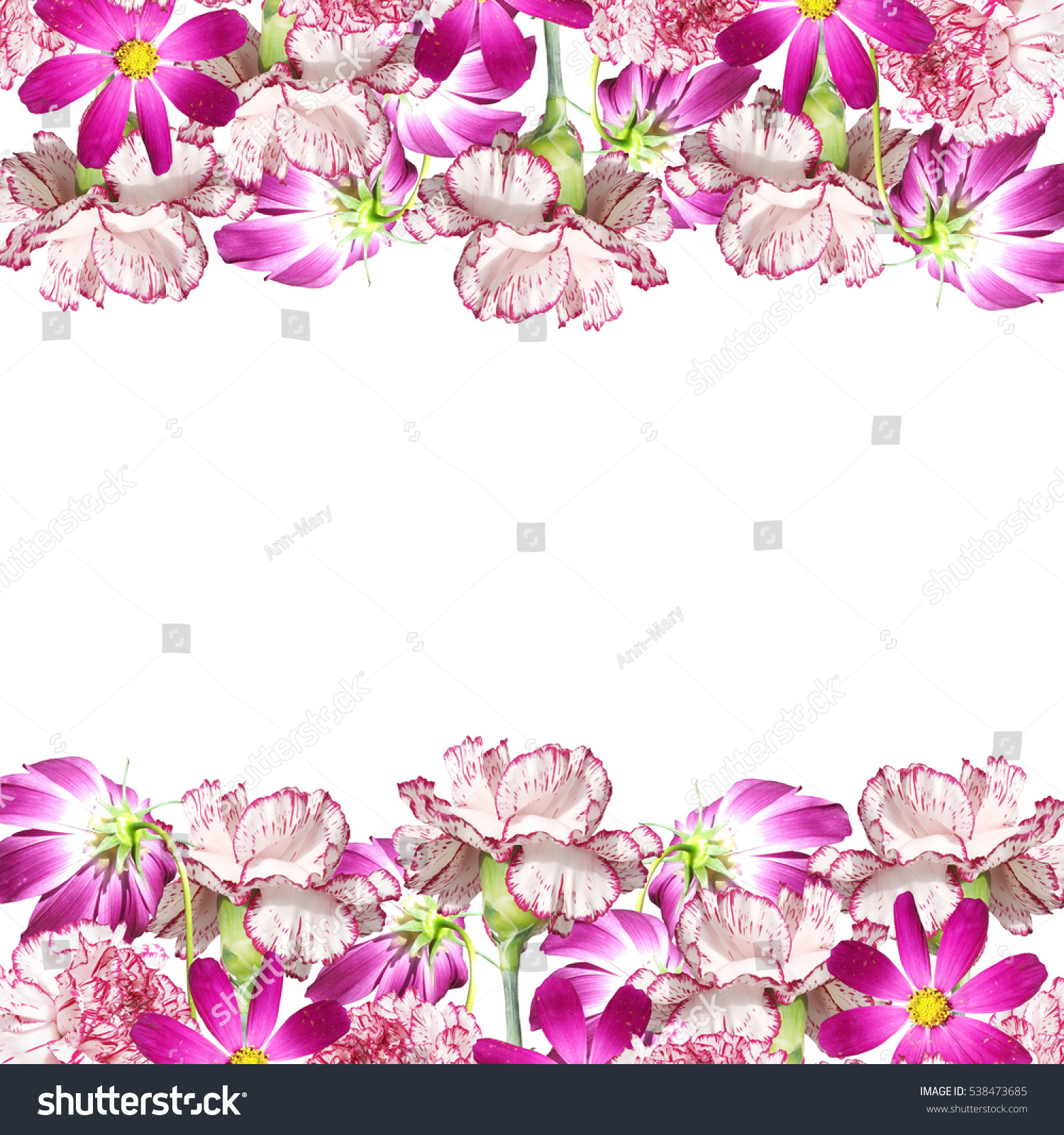 Beautiful Background Flowers Carnations Cosmos Stock Photo