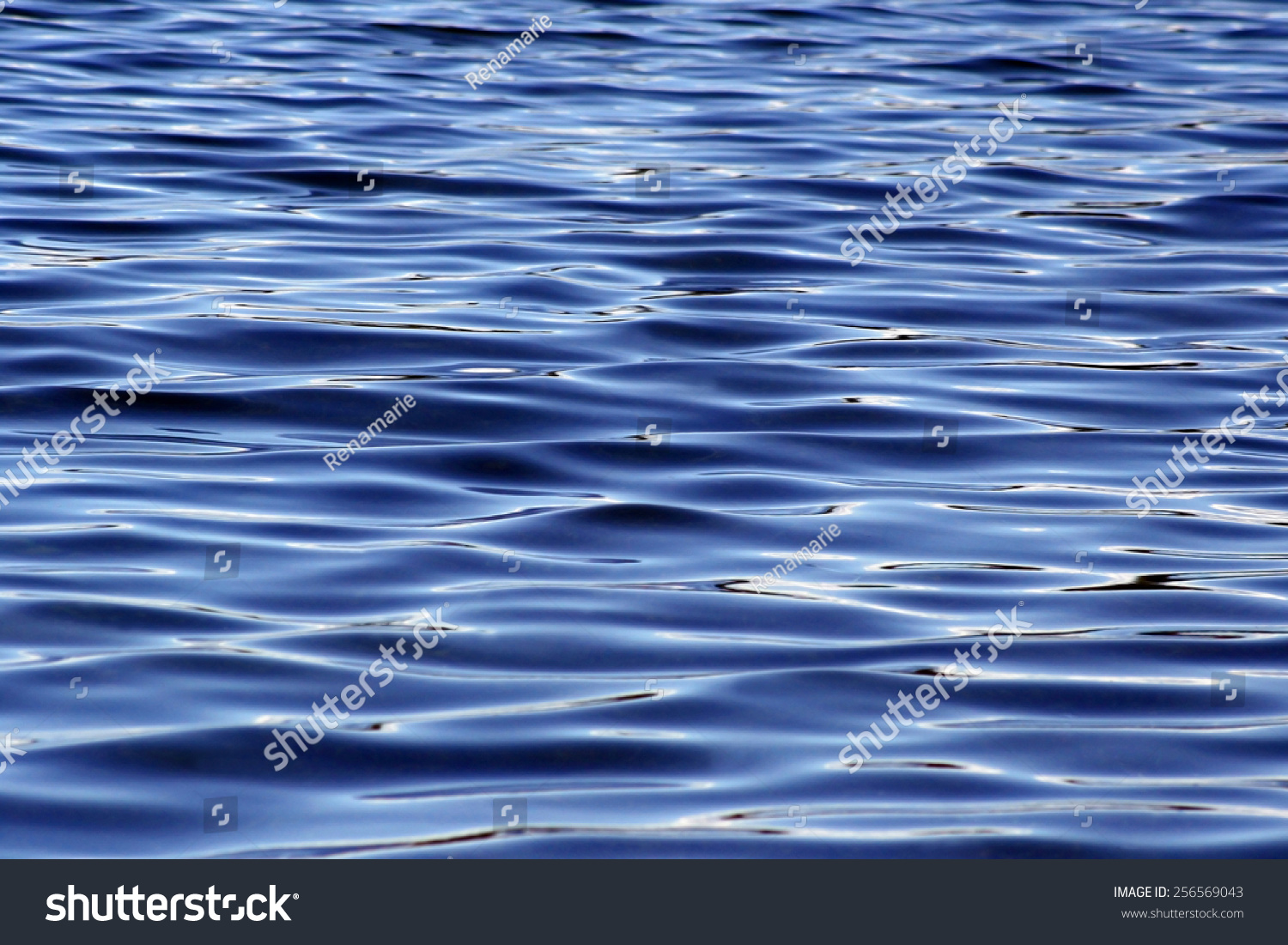 Beautiful Blue Rippling Waters Stock Photo 256569043 : Shutterstock