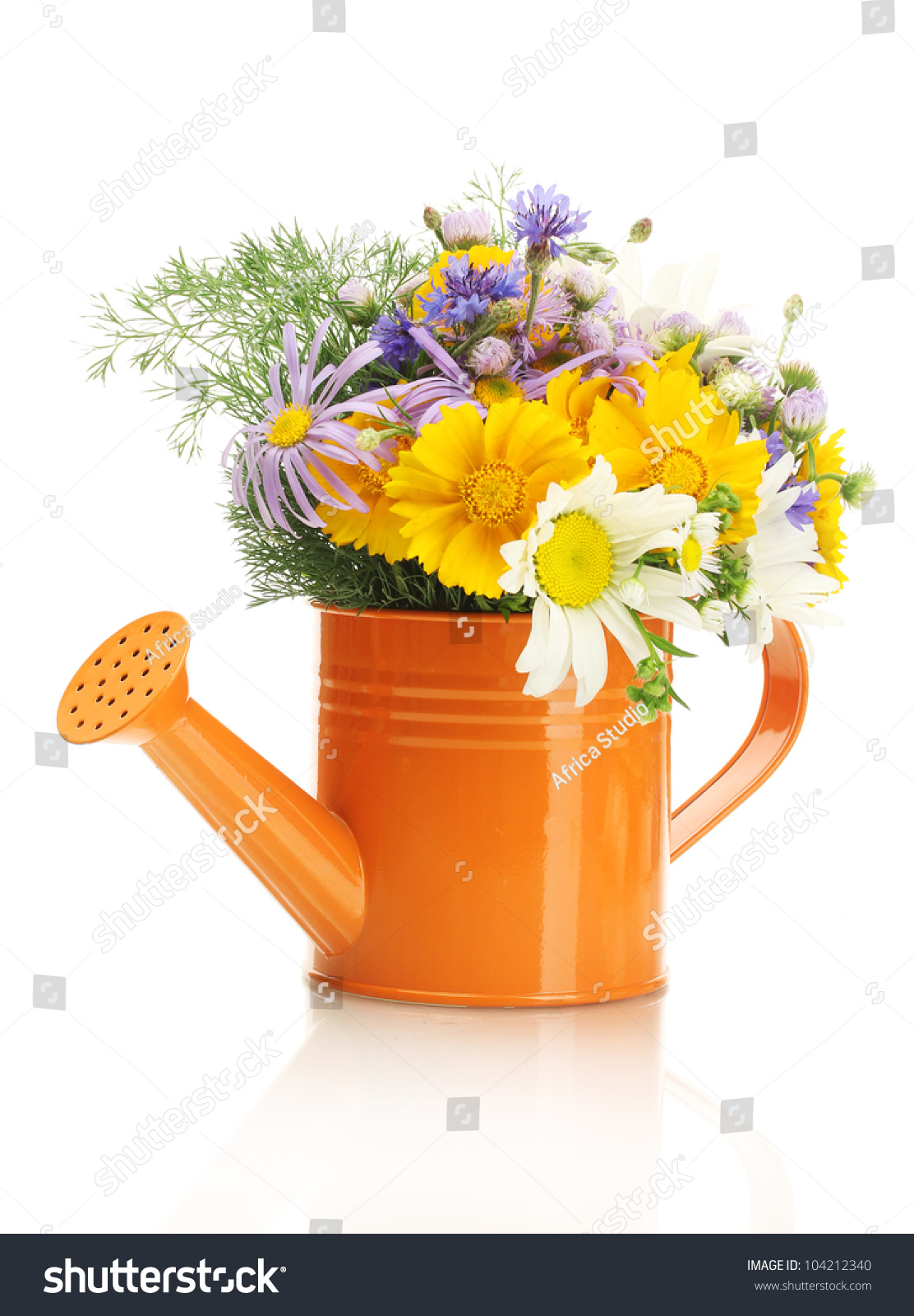 Beautiful Bouquet Of Bright Wildflowers In Watering Can, Isolated On ...