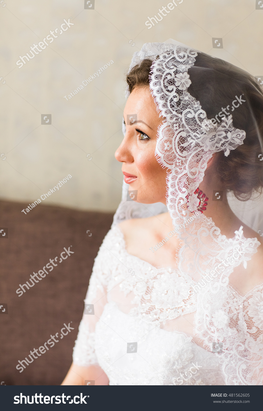 Beautiful Bride Photos Shutterstock 103