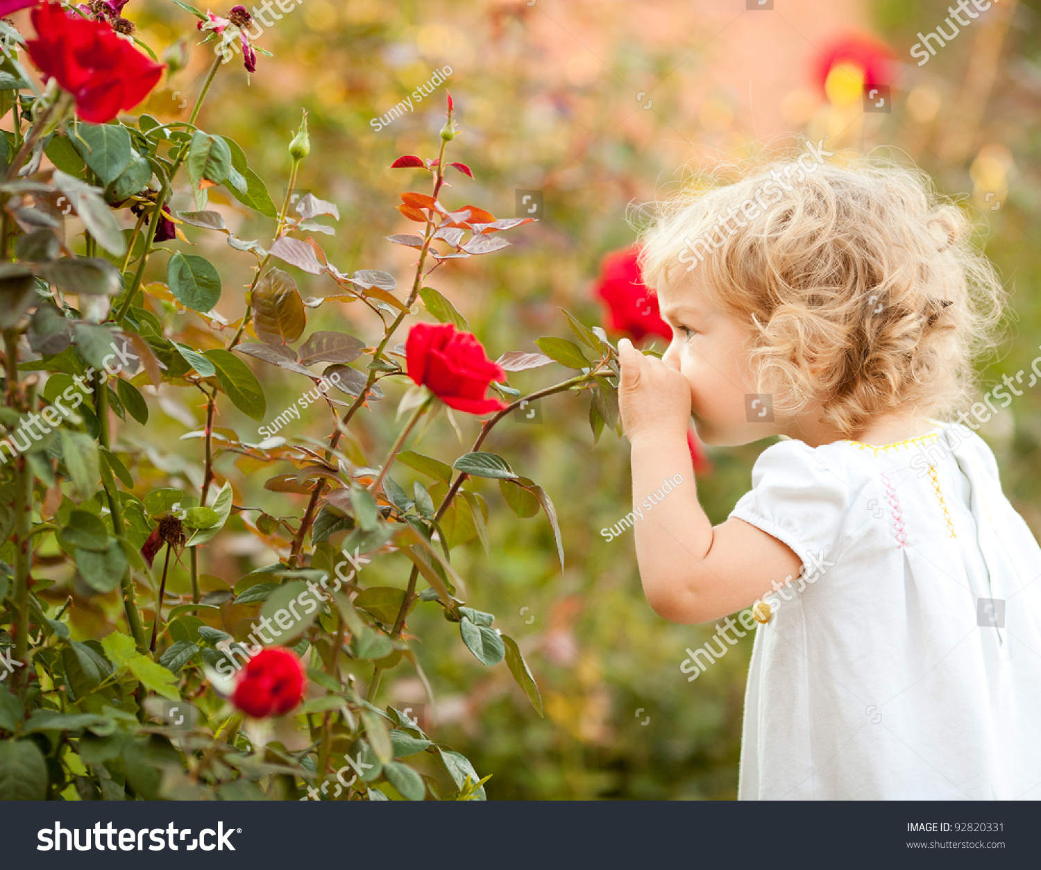 Beautiful Child Smelling Rose Against Spring Stock Photo 92820331 ...