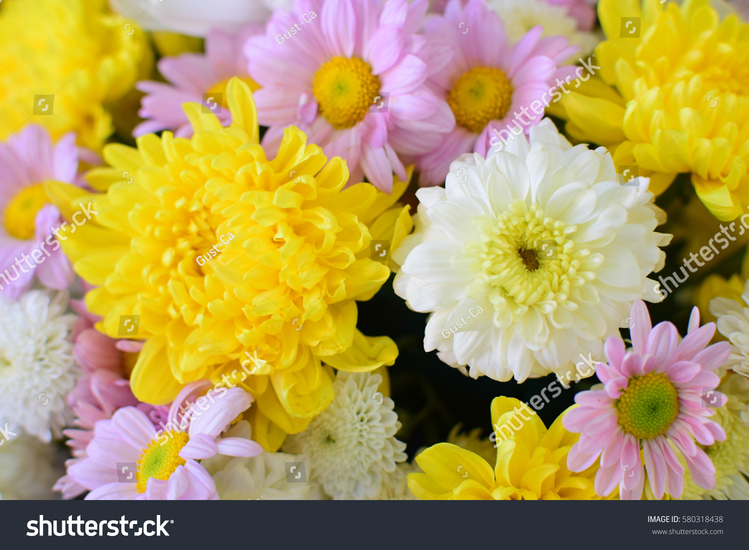 Beautiful Flower Bucket Stock Photo 580318438 - Shutterstock