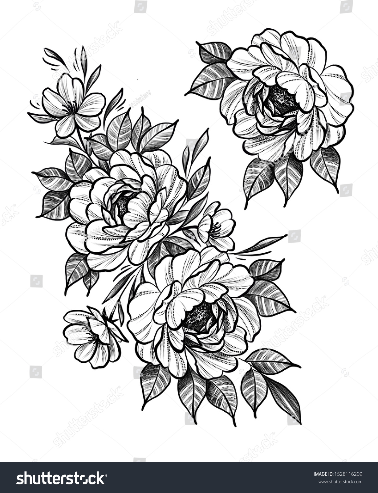 Beautiful Flowers Drawing Sketch Tattoo Design Stock Illustration 1528116209,Japanese Cherry Blossom Festival Dc