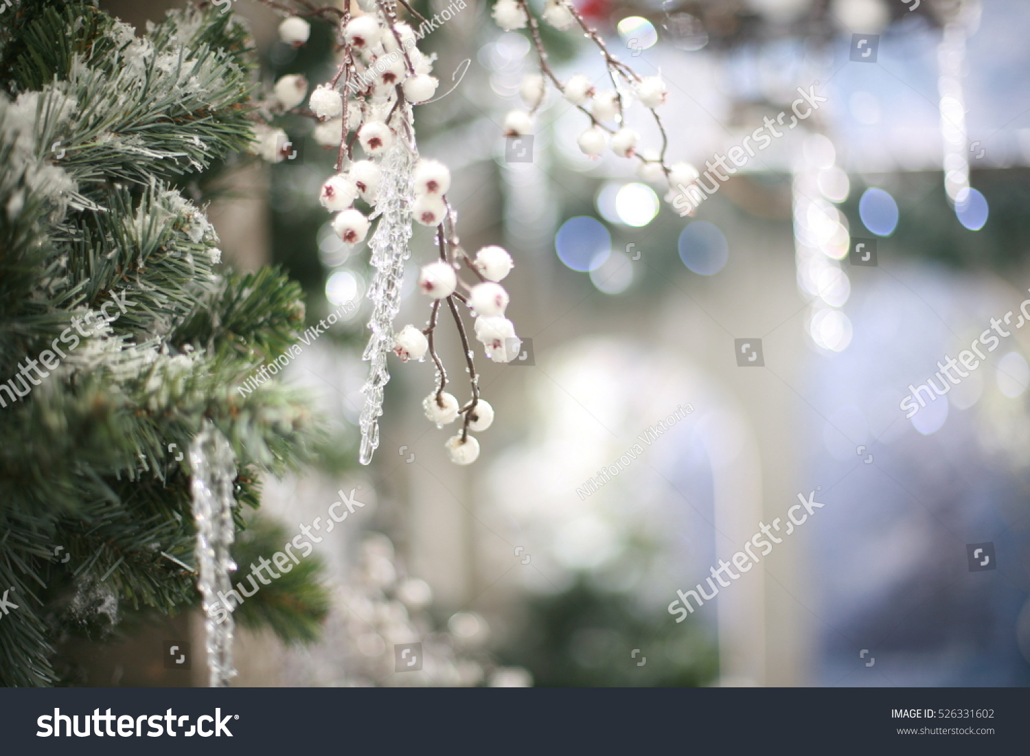 Beautiful Girl Winter Enchanted Forest Stock Photo Edit Now