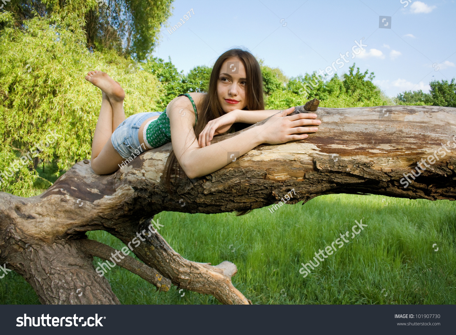 https://image.shutterstock.com/z/stock-photo-beautiful-girl-lying-on-a-tree-in-denim-shorts-and-a-t-shirt-loo-101907730.jpg