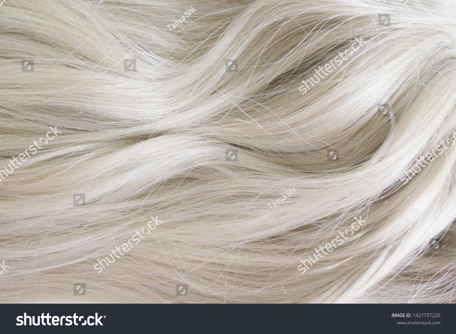 Beautiful Hair Long Curly Blonde Hair Stock Photo Edit Now