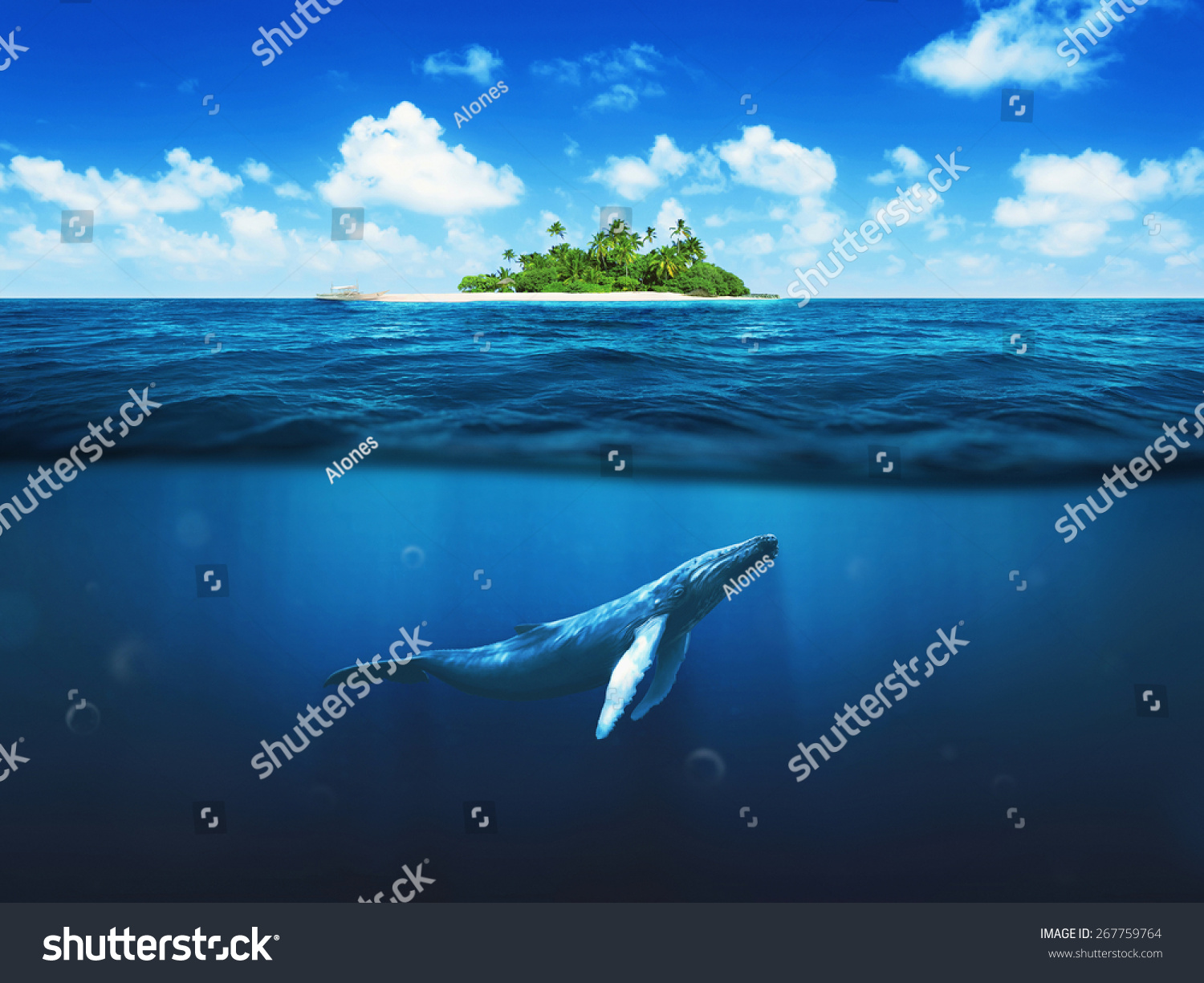 Whale under boat Stock Photos, Images & Photography | Shutterstock