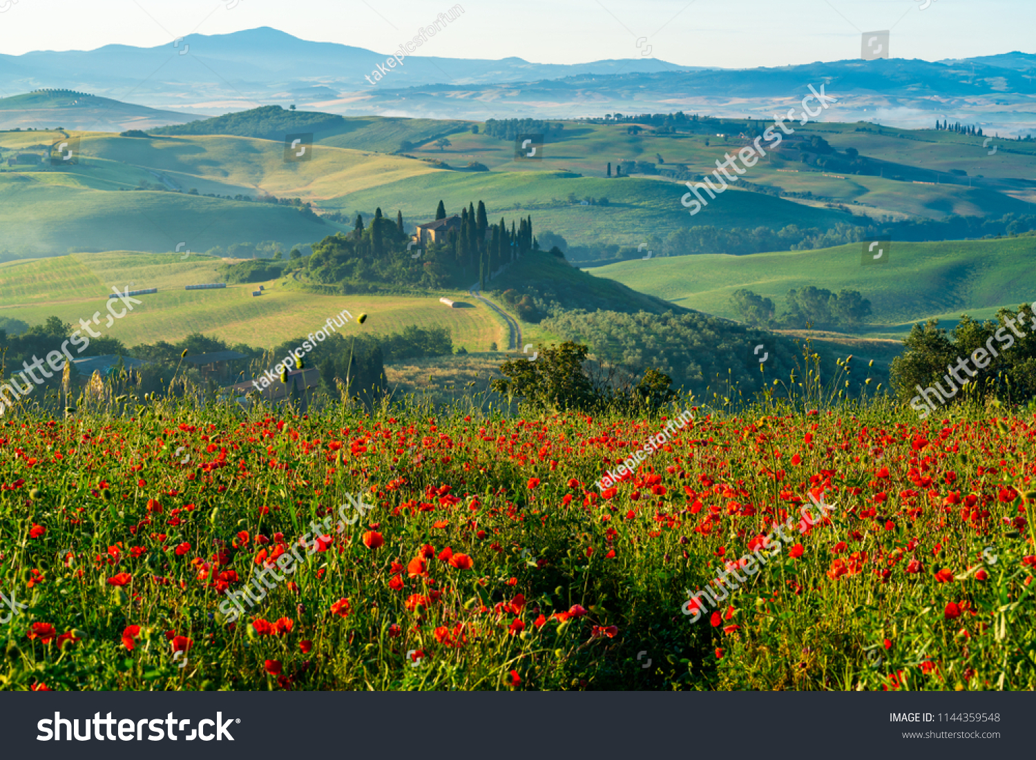 Beautiful Landscape Hilly Tuscany Italy Summer Stock Photo Edit Now