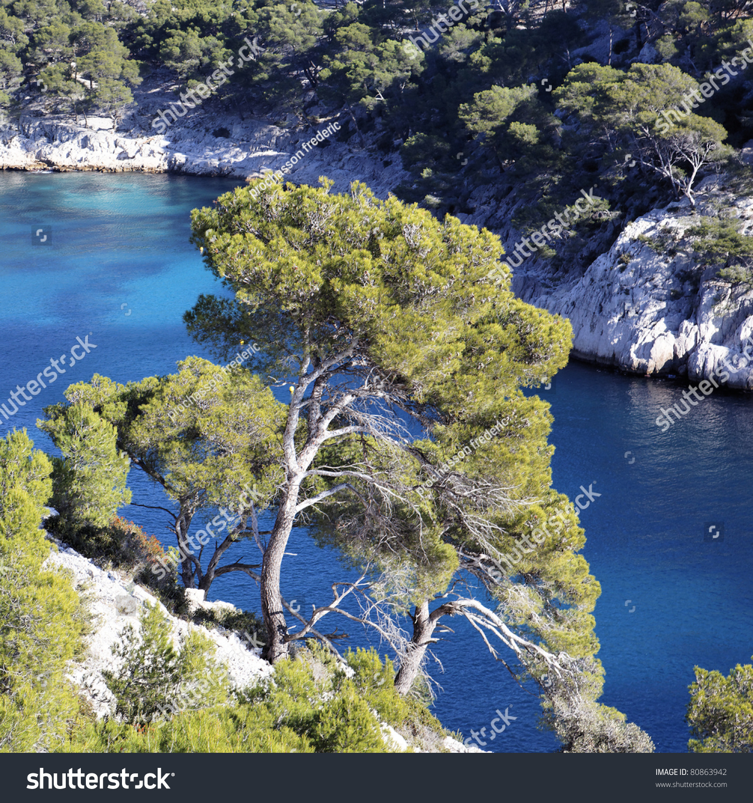 Beautiful Mediterranean Coast In France In Summer Stock Photo 80863942 ...