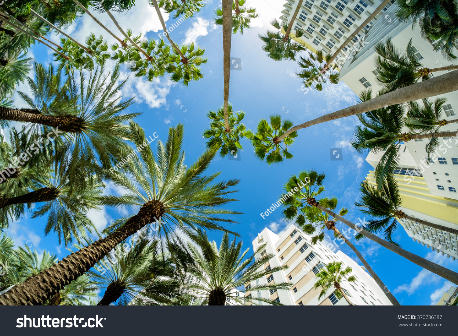 Beautiful Miami Beach Fish Eye Cityscape Stock Photo Edit Now