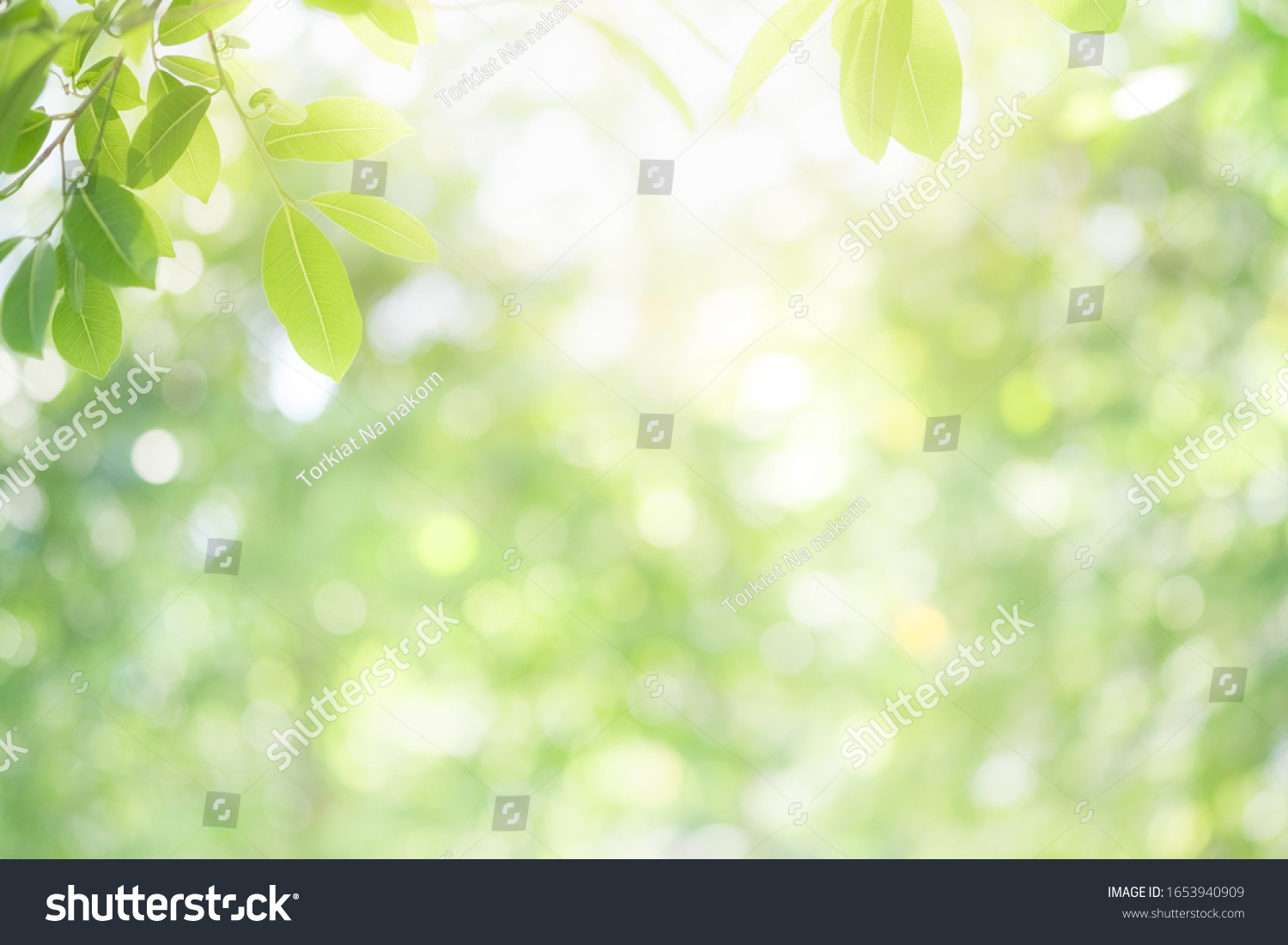 32,977,653 Fondo plantas Stock Photos, Images & Photography | Shutterstock