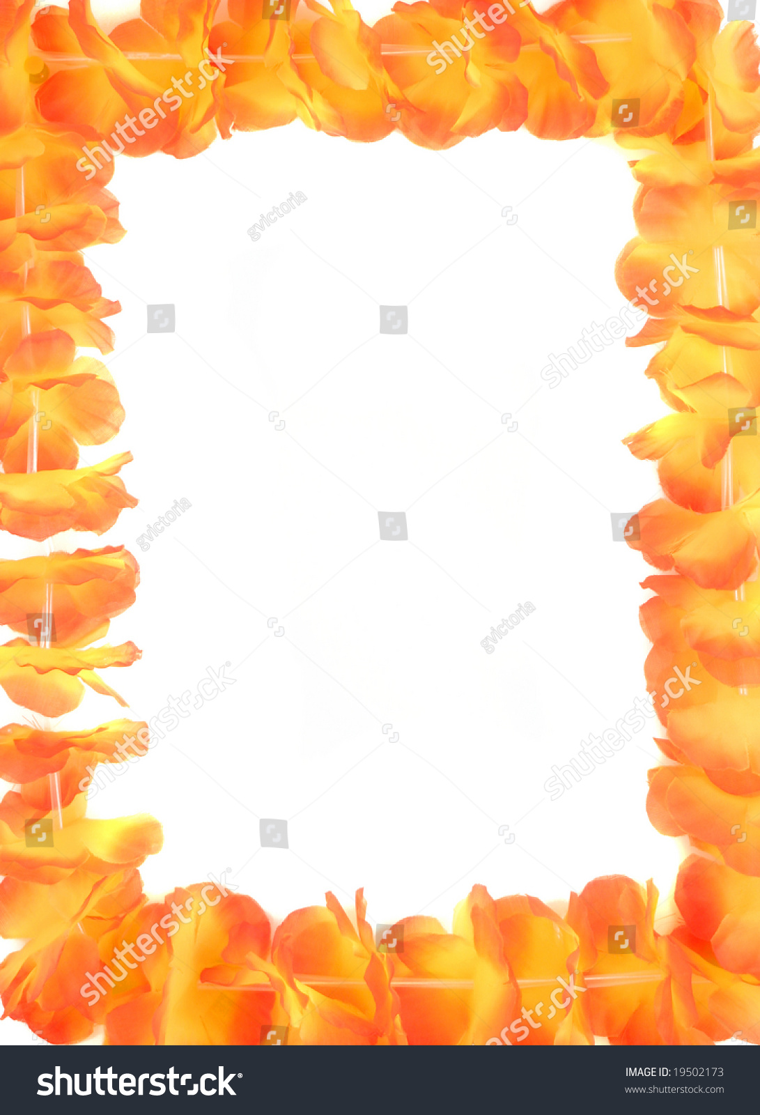 Beautiful Orange Floral Hawaiian Lei Border Stock Photo Edit Now 19502173