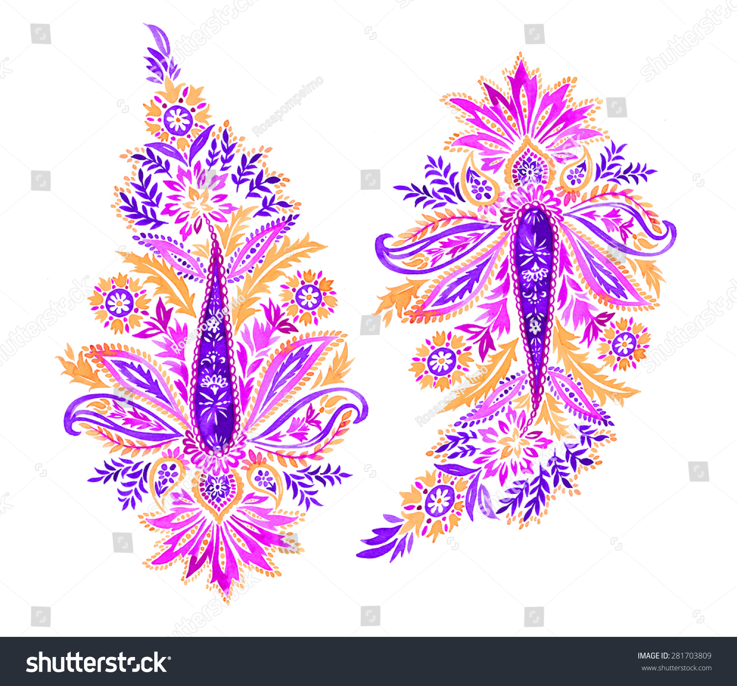 Beautiful Paisley Motifs Ornamental Floral Details Stock Illustration