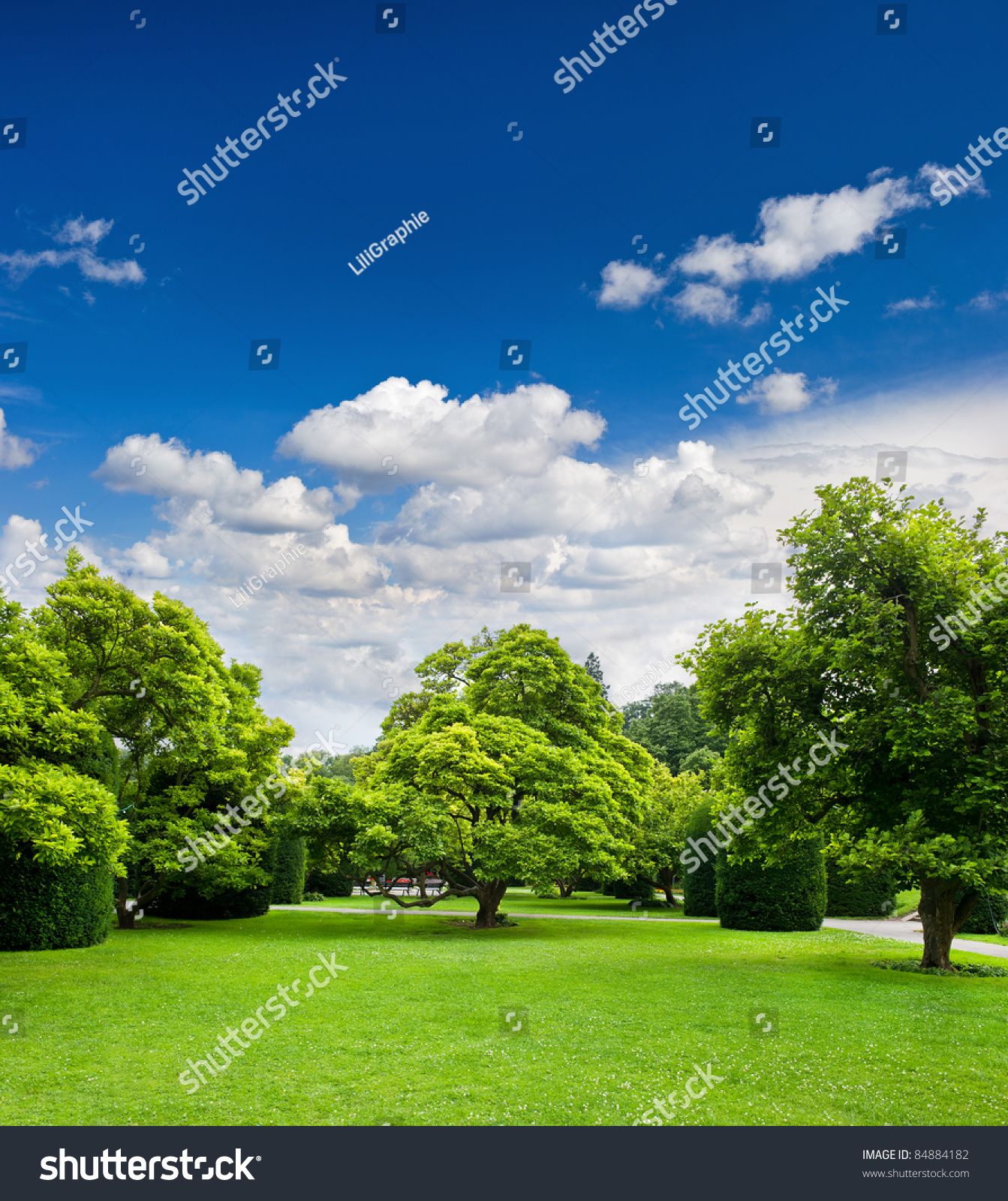 Beautiful Park Trees Over Blue Sky Stock Photo 84884182 - Shutterstock