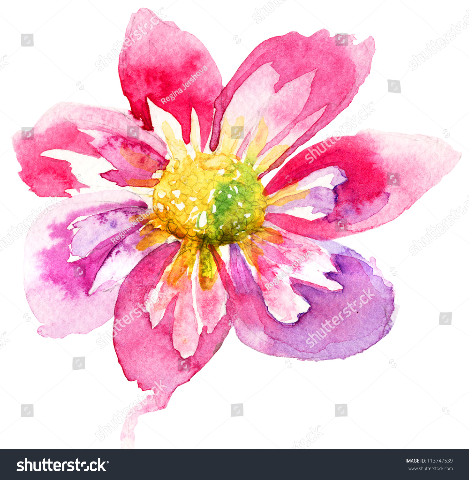 Beautiful Pink Flower, Watercolor Painting Stock Photo 113747539 ...