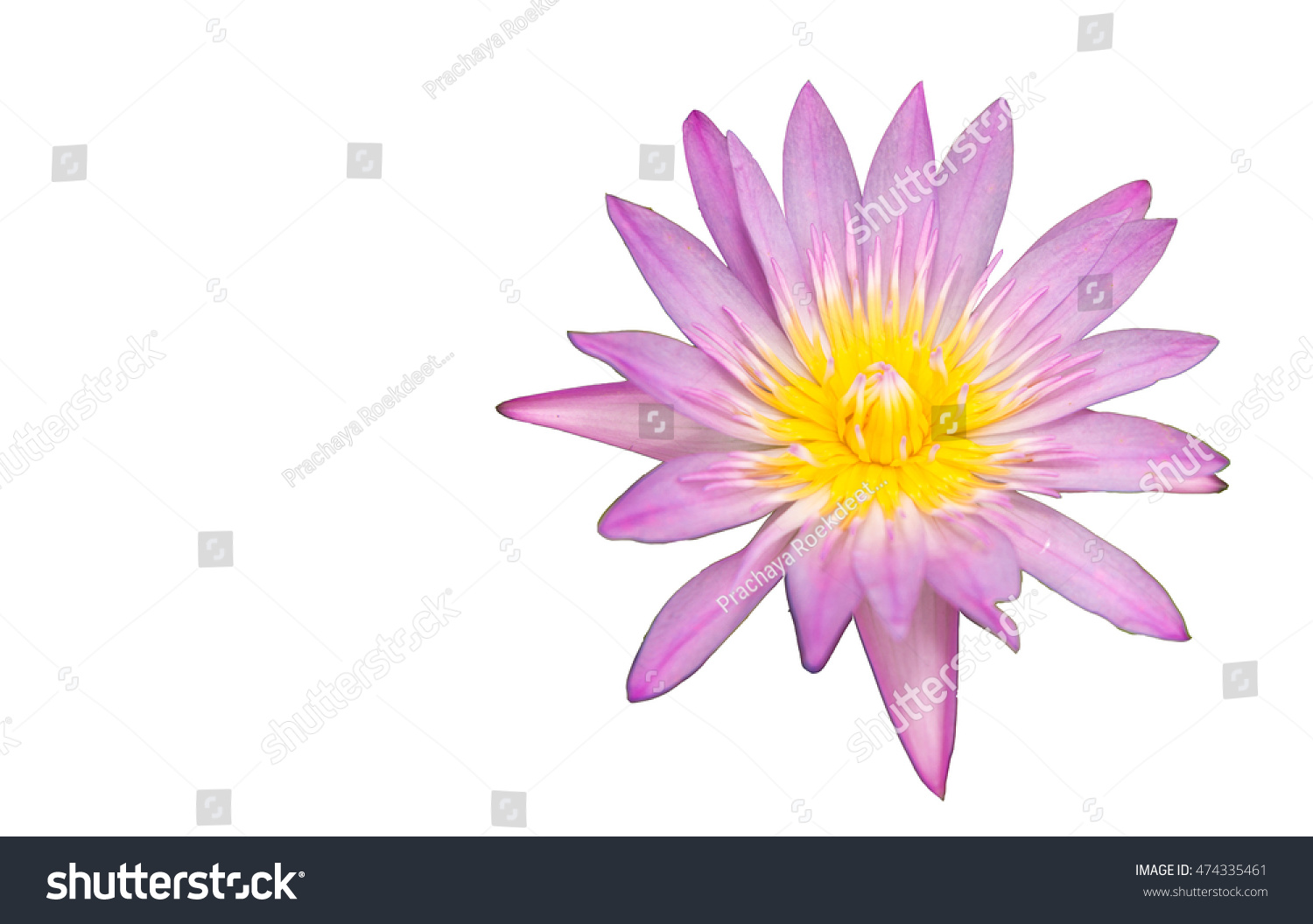 lotus hindu singles The connection between the indian subcontinent and the lotus, beyond any single faith, expresses the significance of the flower even beyond its place as a religion icon to this day, the lotus stands as a symbol related not only to hinduism, but also to numerous other religions, historical and modern alike. lotus hindu singles The connection between the indian subcontinent and the lotus, beyond any single faith, expresses the significance of the flower even beyond its place as a religion icon to this day, the lotus stands as a symbol related not only to hinduism, but also to numerous other religions, historical and modern alike.