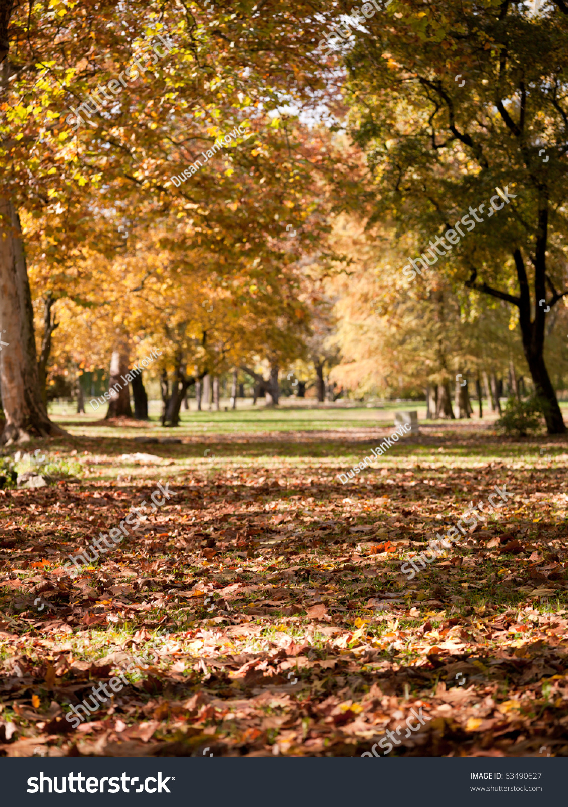 Beautiful Quiet Park In Bright Autumnal Colors Stock Photo 63490627 ...