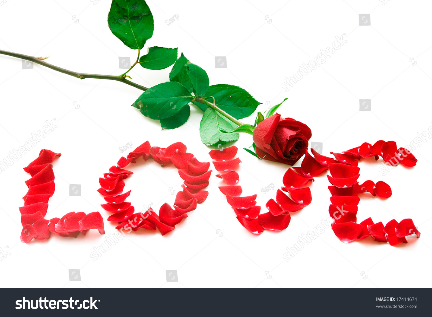 Beautiful Red Rose And Word Love Made Of Petals Stock Photo 17414674 ...