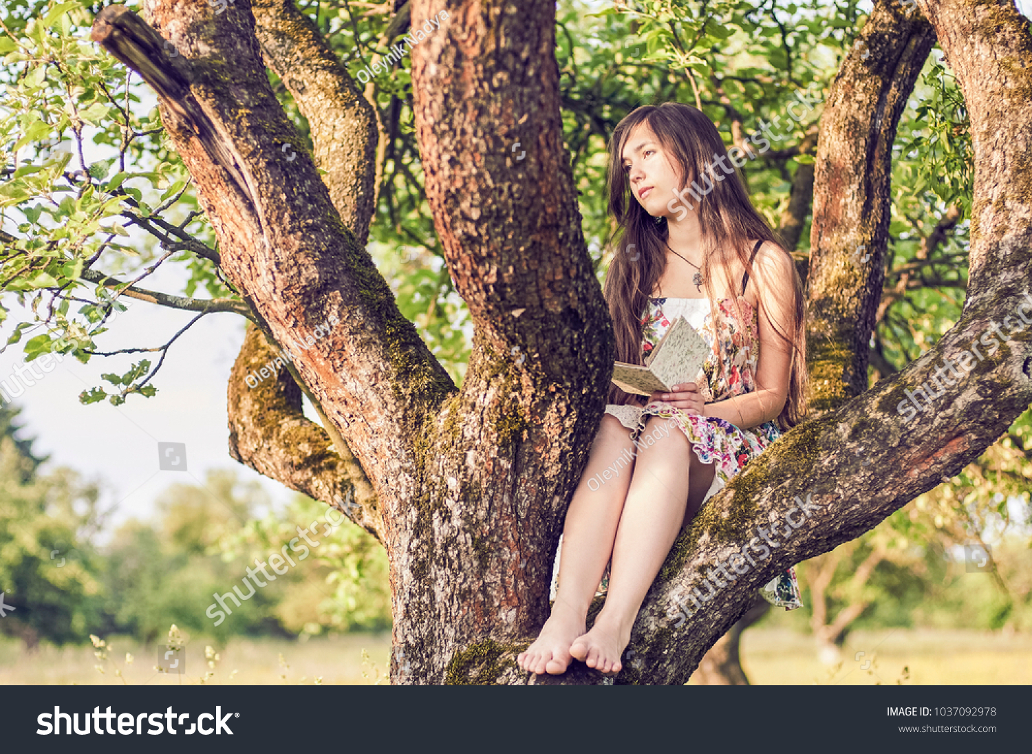 https://image.shutterstock.com/z/stock-photo-beautiful-romantic-girl-on-tree-with-book-1037092978.jpg