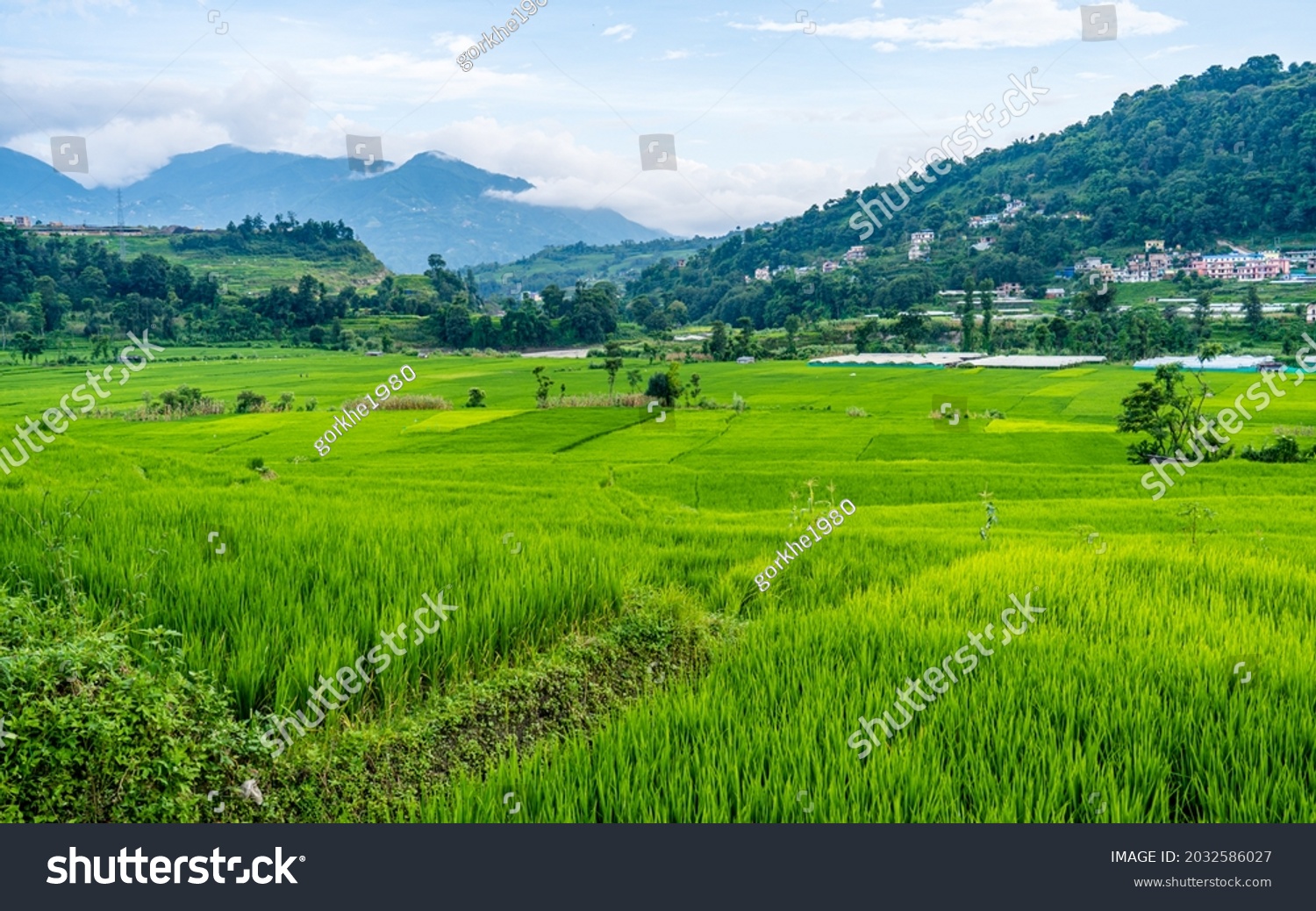 agriculture business plan in nepal