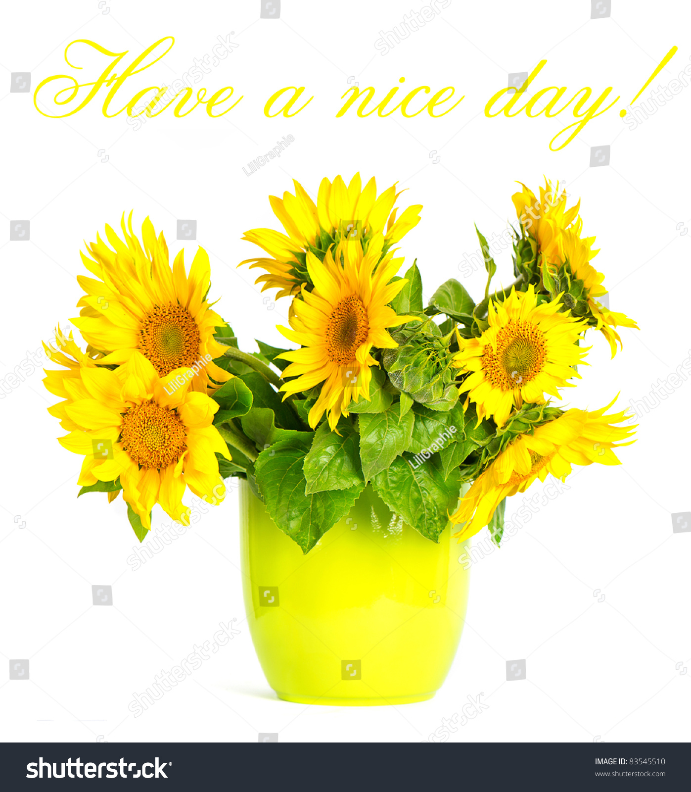 Beautiful Sunflower. Have A Nice Day! Card Concept Stock Photo 83545510 ...