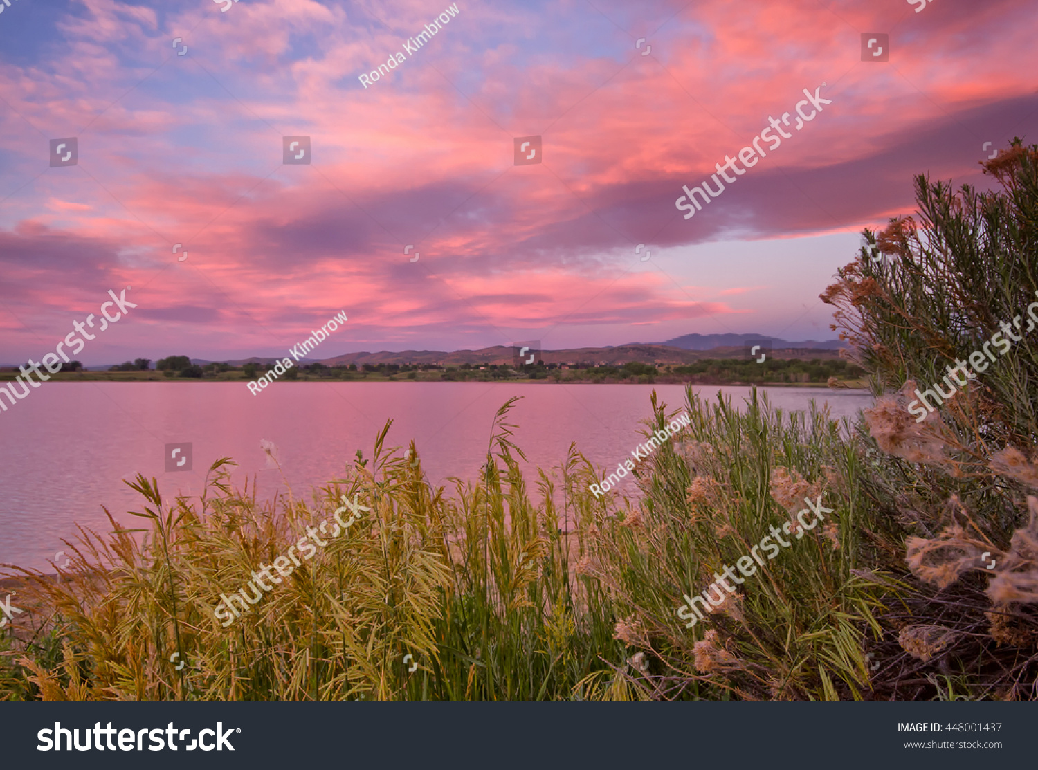 Beautiful Sunrise On Lon Hagler Reservoir Stock Photo (Edit Now) 448001437